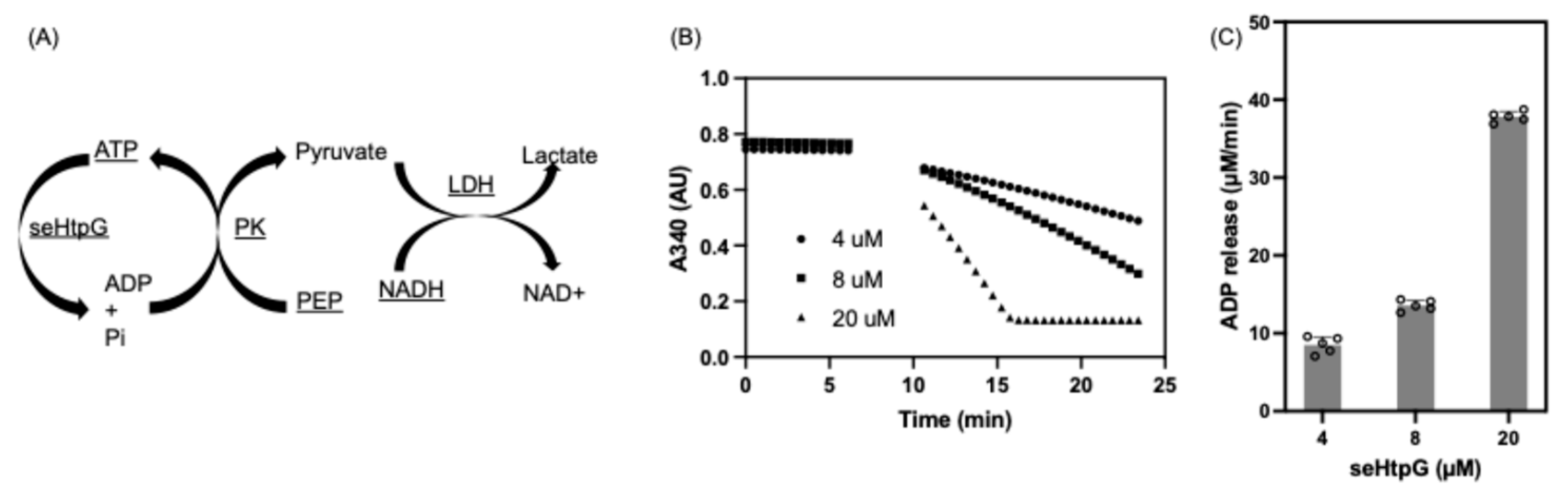 Mps 08 00103 g005 Mps 08 00103 g005