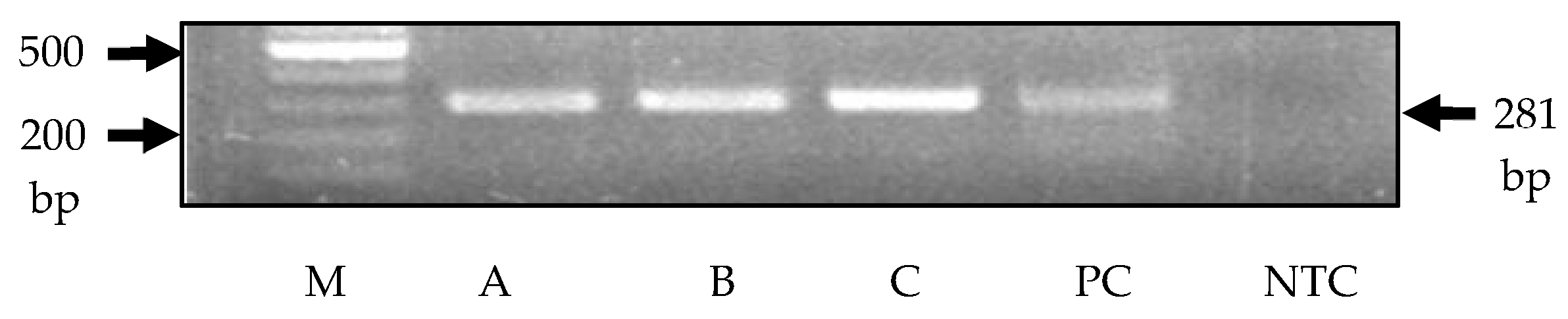 Mps 08 00109 g001 Mps 08 00109 g001