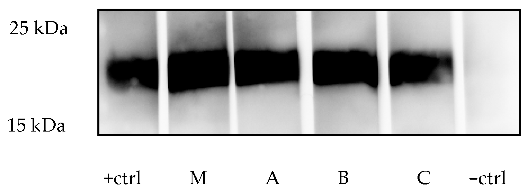 Mps 08 00109 g002 Mps 08 00109 g002