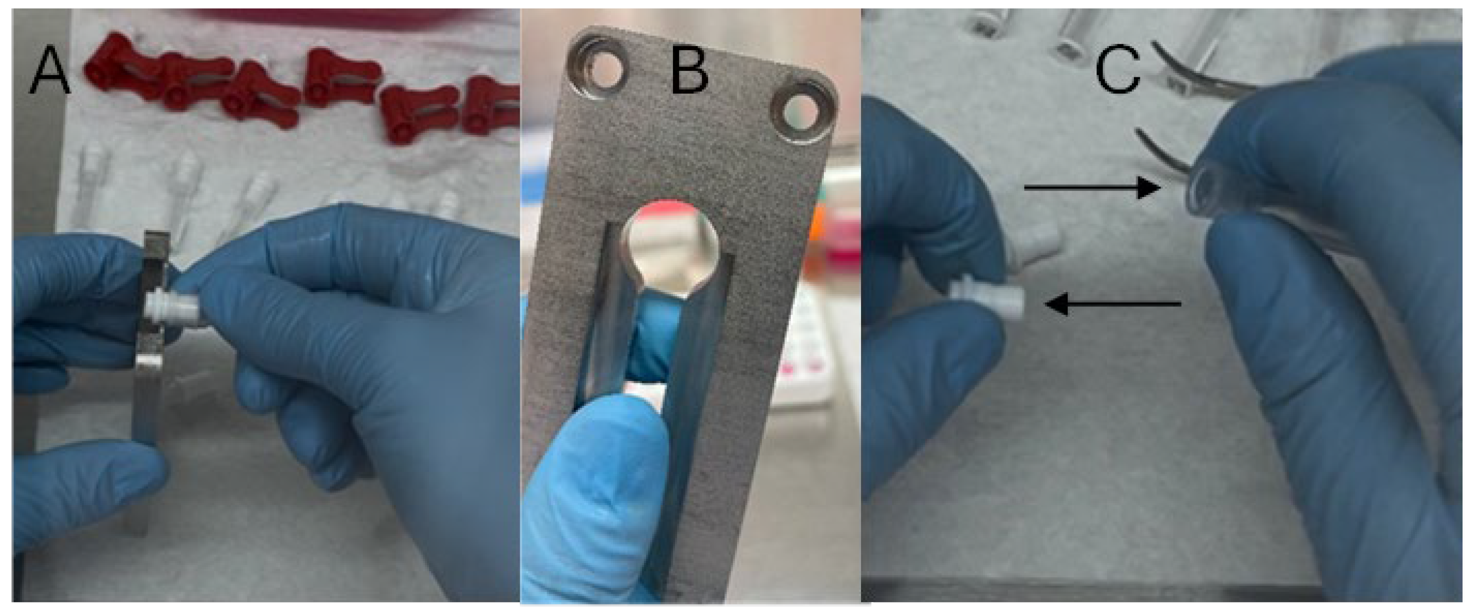 Mps 08 00114 g003 Mps 08 00114 g003