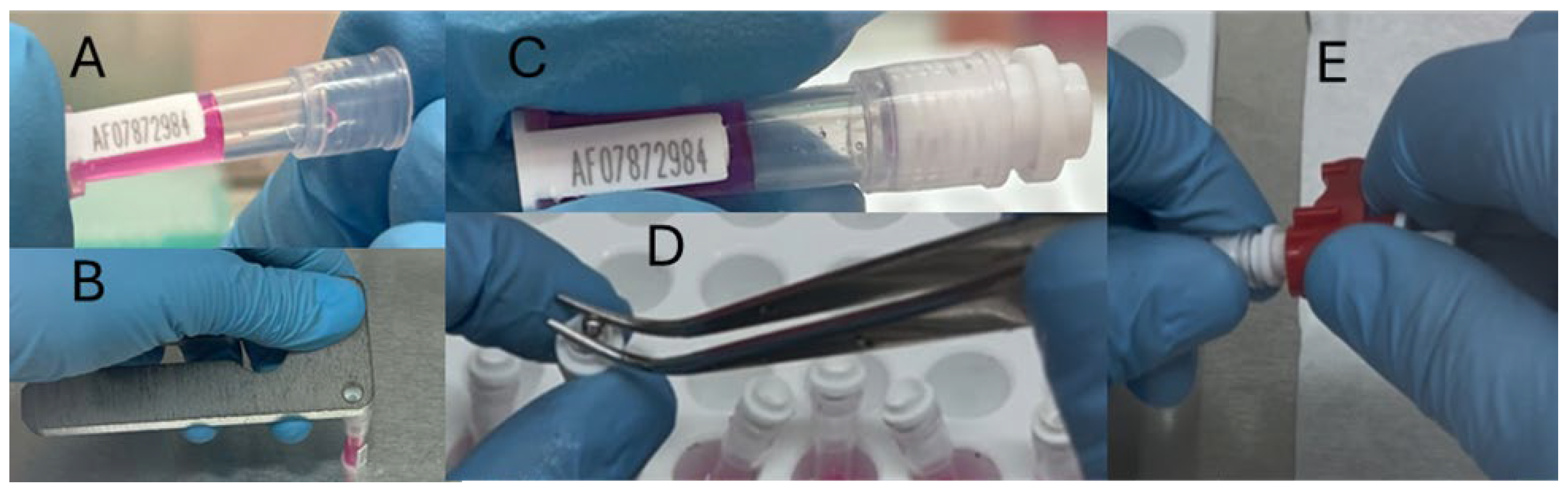 Mps 08 00114 g004 Mps 08 00114 g004