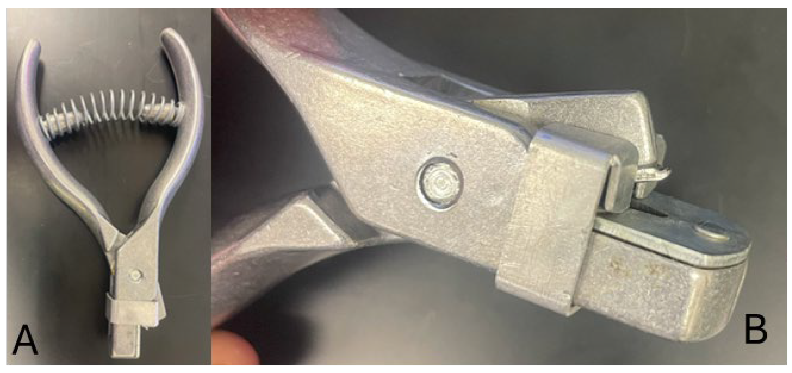 Mps 08 00114 g005 Mps 08 00114 g005