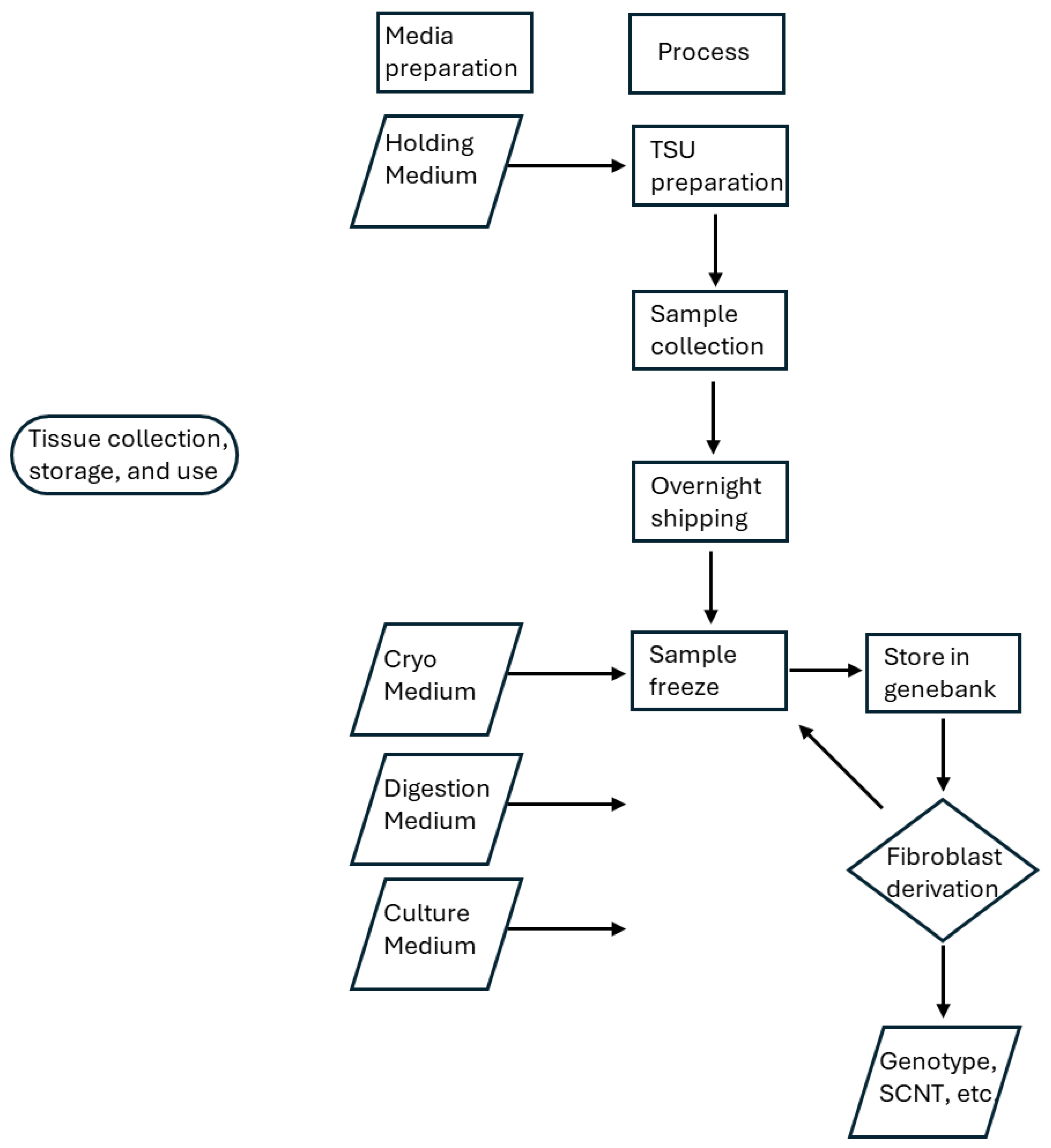 Mps 08 00114 g006 Mps 08 00114 g006