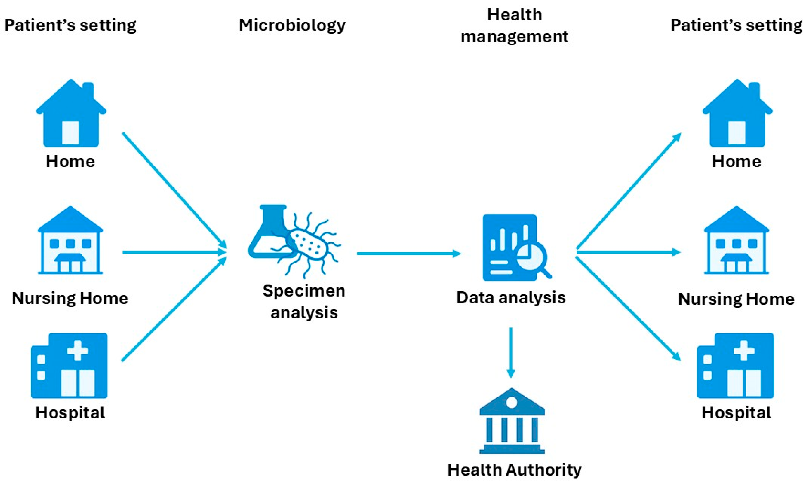 Mps 08 00115 g005 Mps 08 00115 g005
