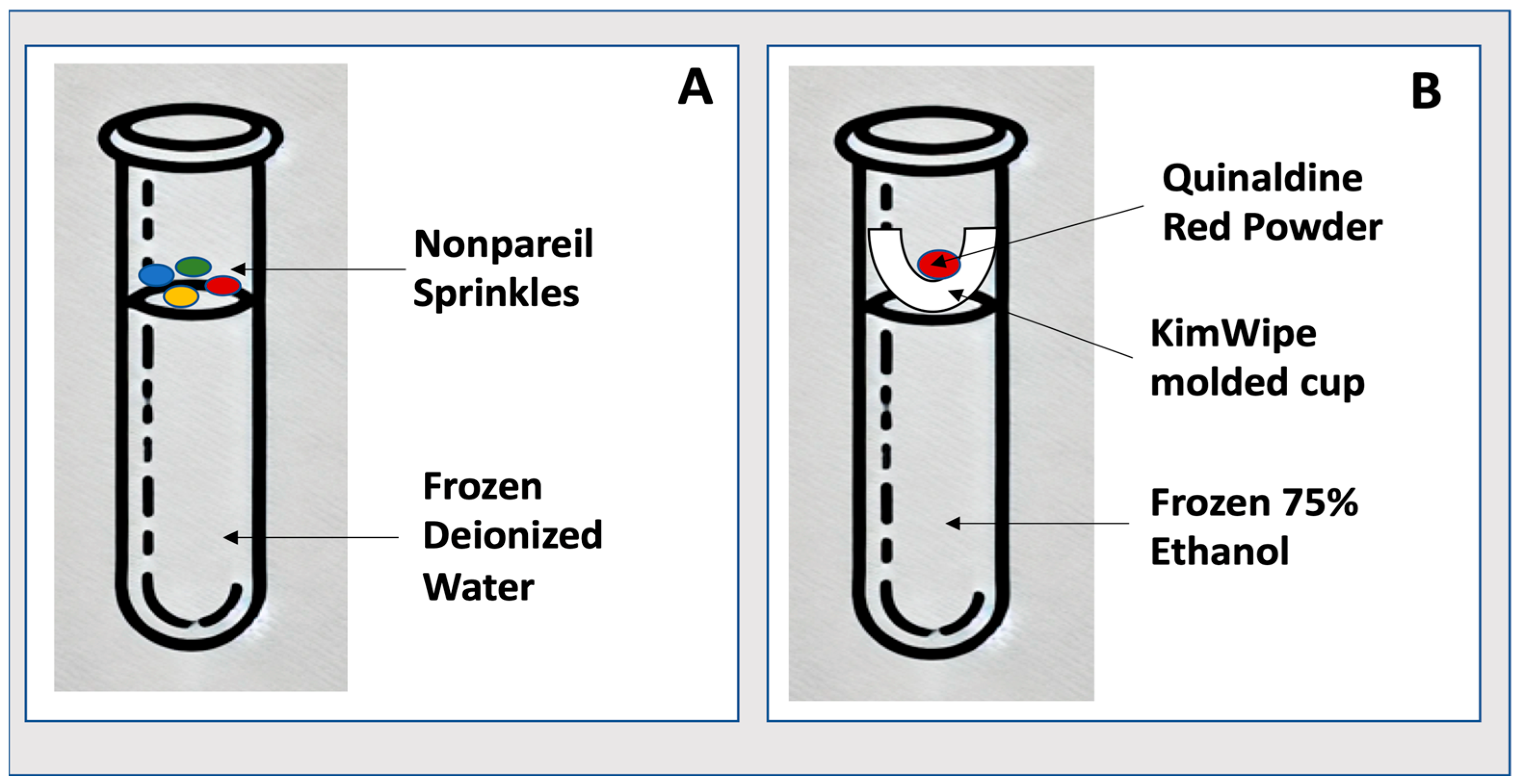 Mps 08 00120 g001 Mps 08 00120 g001