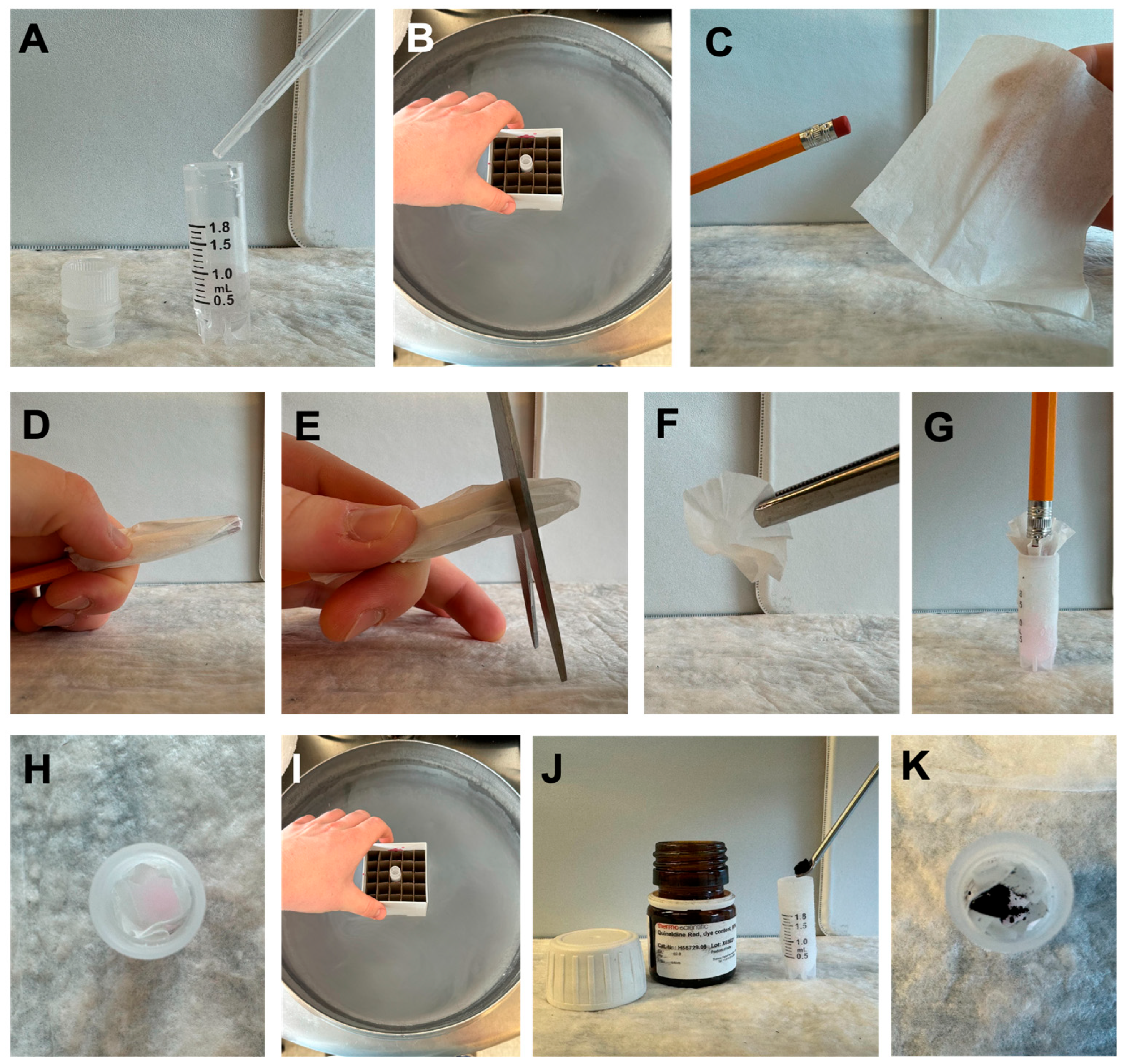 Mps 08 00120 g003 Mps 08 00120 g003