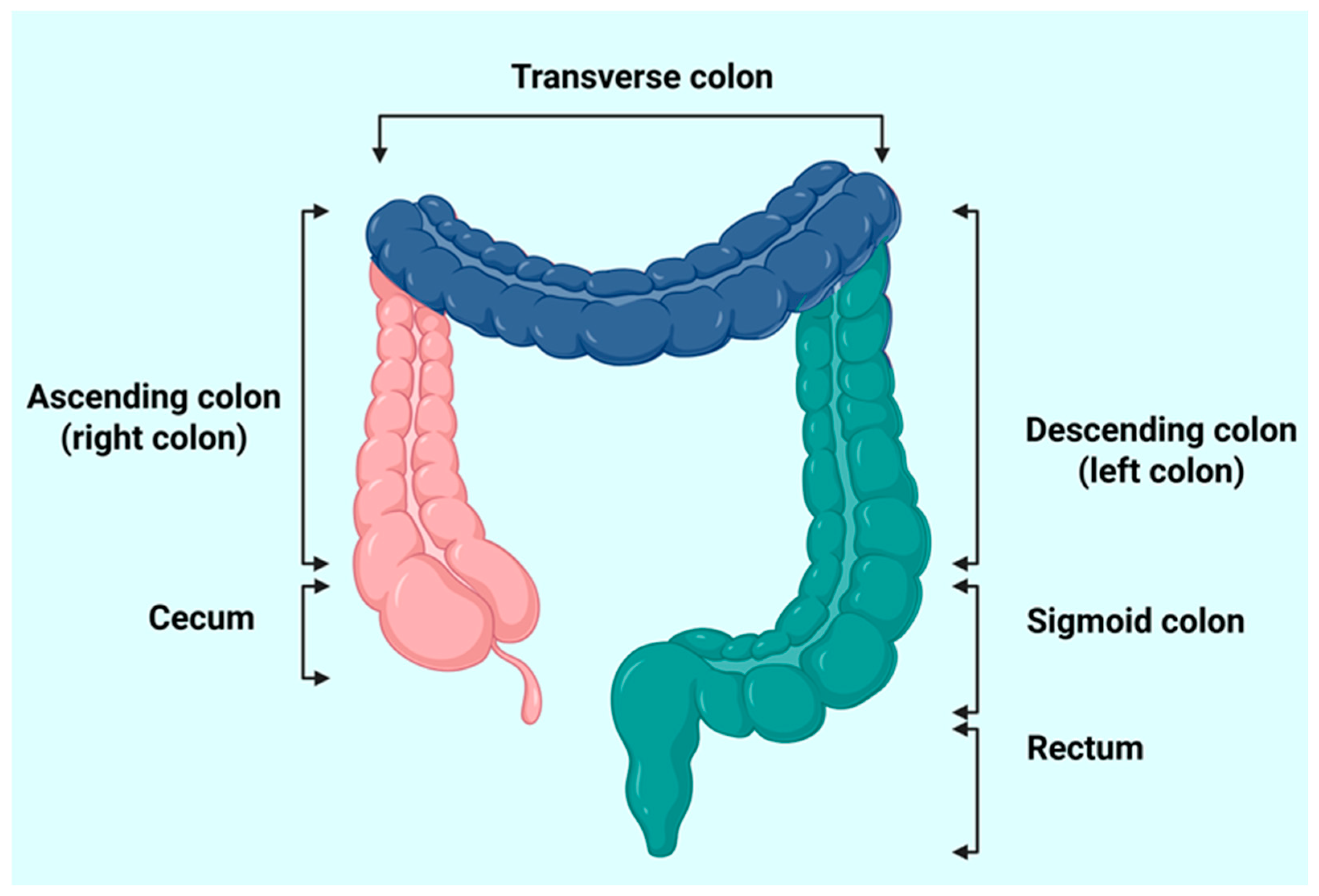 Mps 08 00121 g001 Mps 08 00121 g001