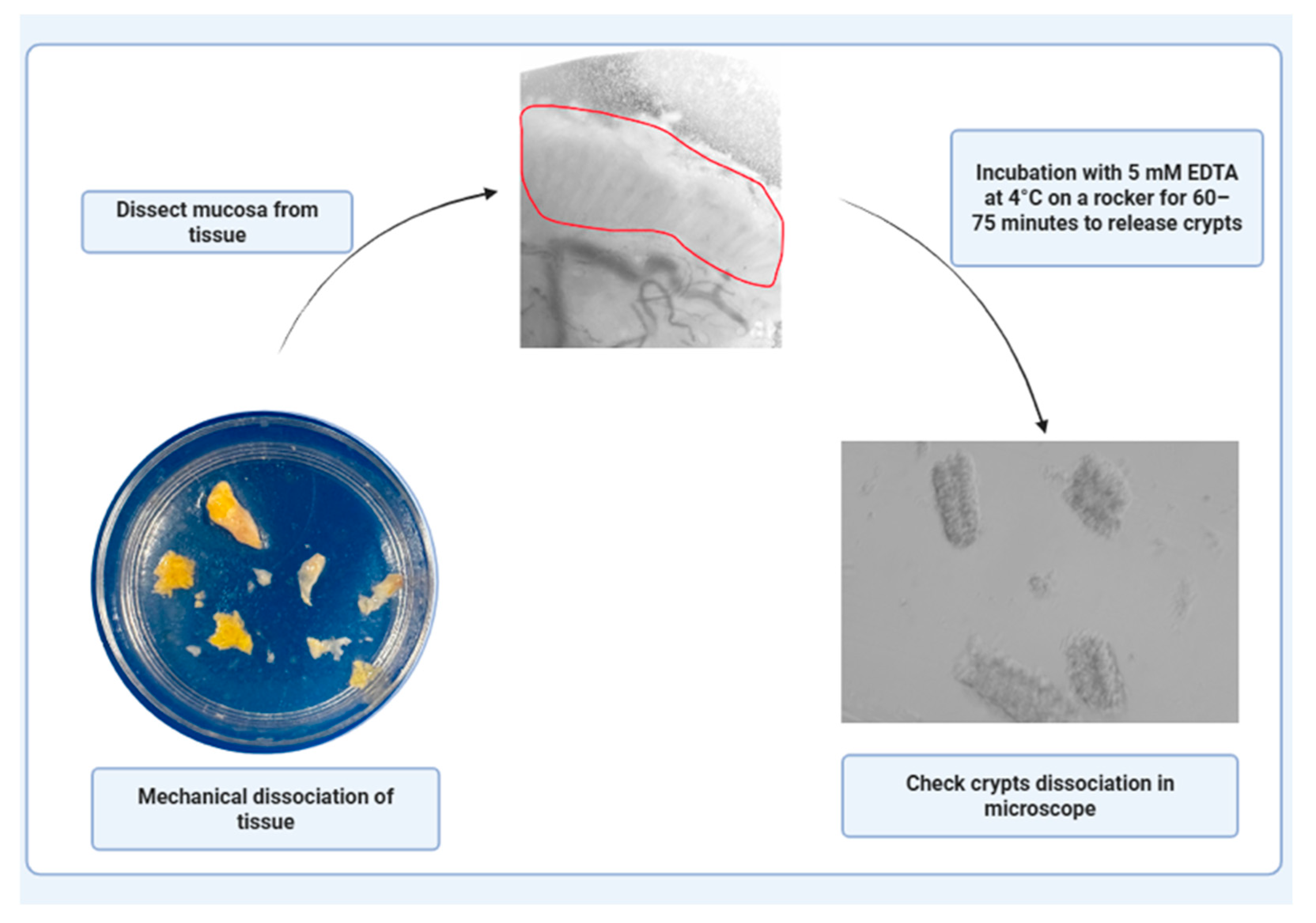 Mps 08 00121 g002 Mps 08 00121 g002