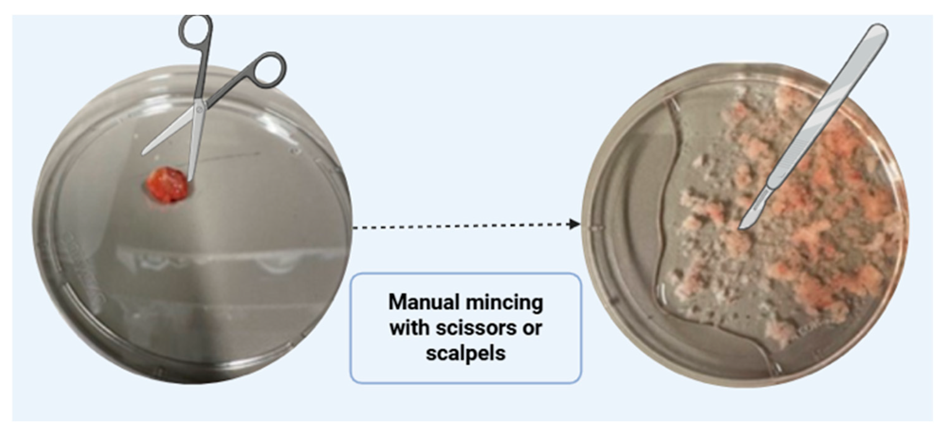 Mps 08 00121 g004 Mps 08 00121 g004