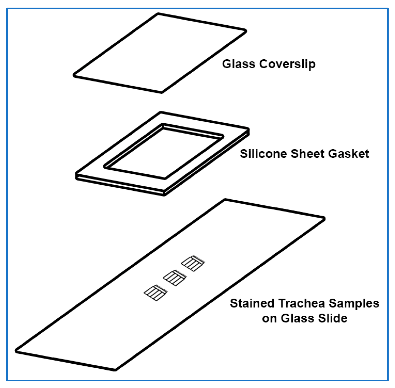Mps 08 00146 g001 Mps 08 00146 g001