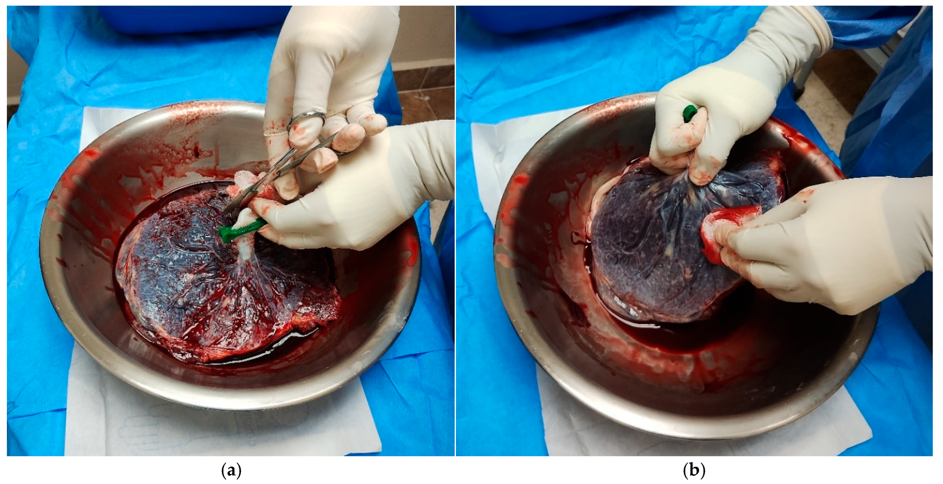 Mps 09 00005 g001 Mps 09 00005 g001