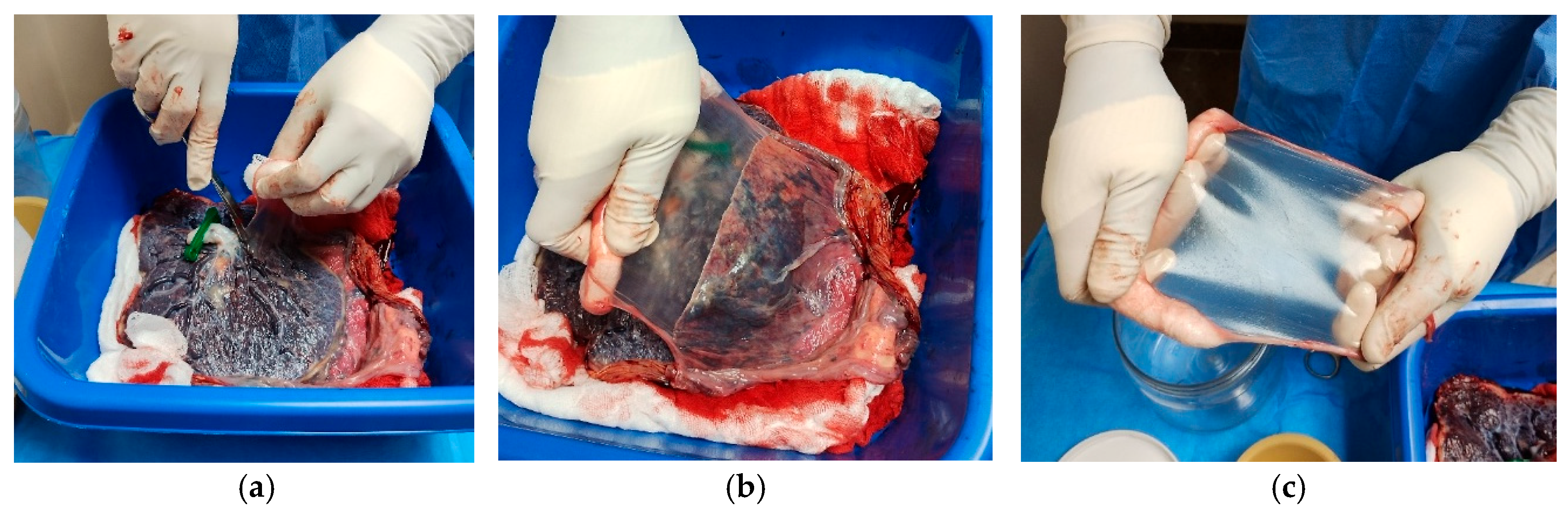 Mps 09 00005 g002 Mps 09 00005 g002