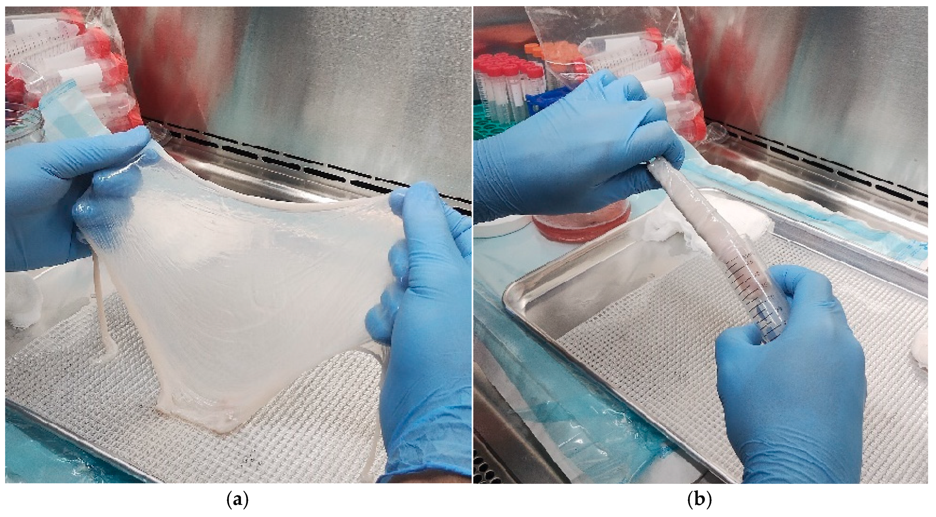 Mps 09 00005 g003 Mps 09 00005 g003