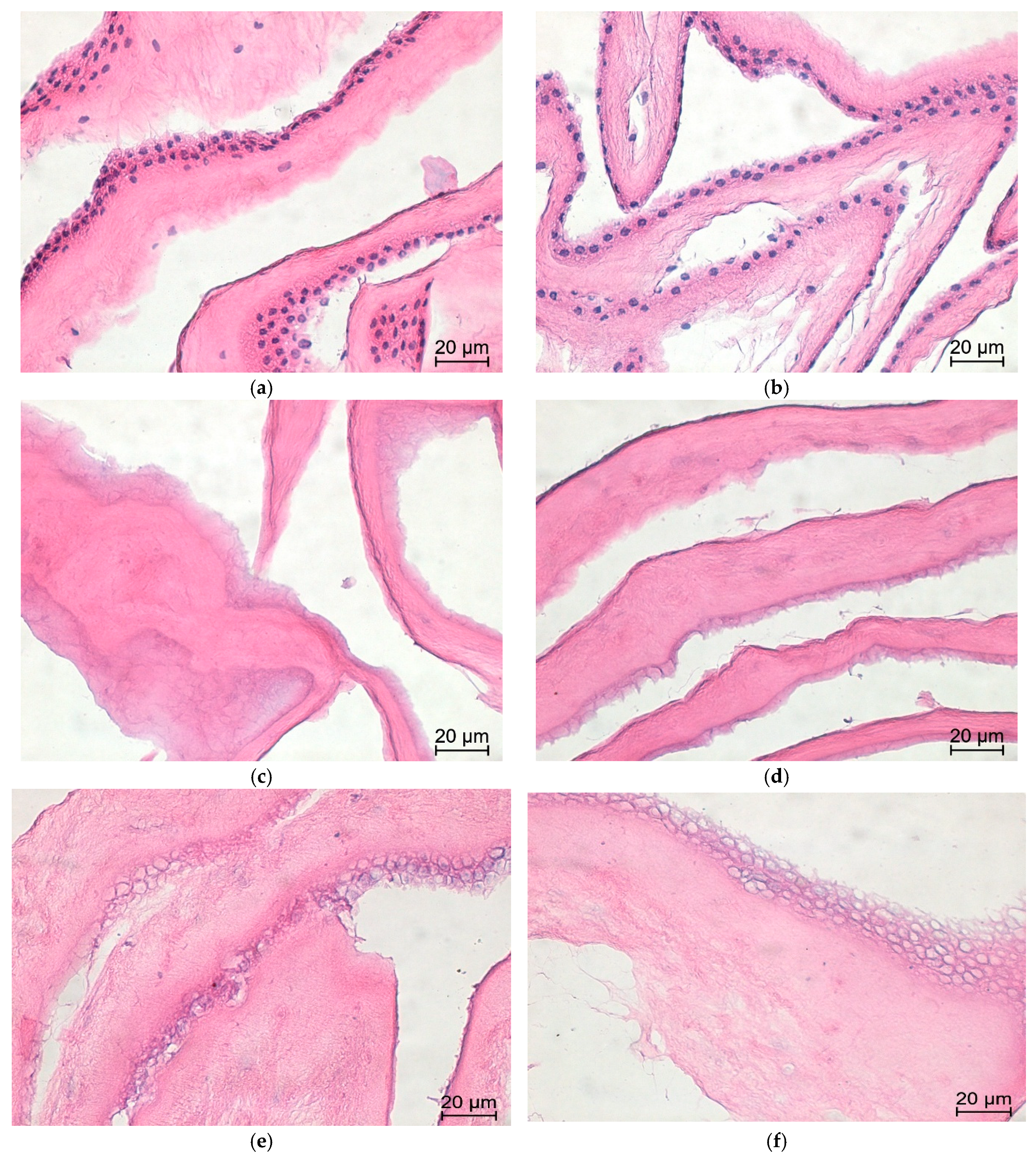 Mps 09 00005 g004 Mps 09 00005 g004