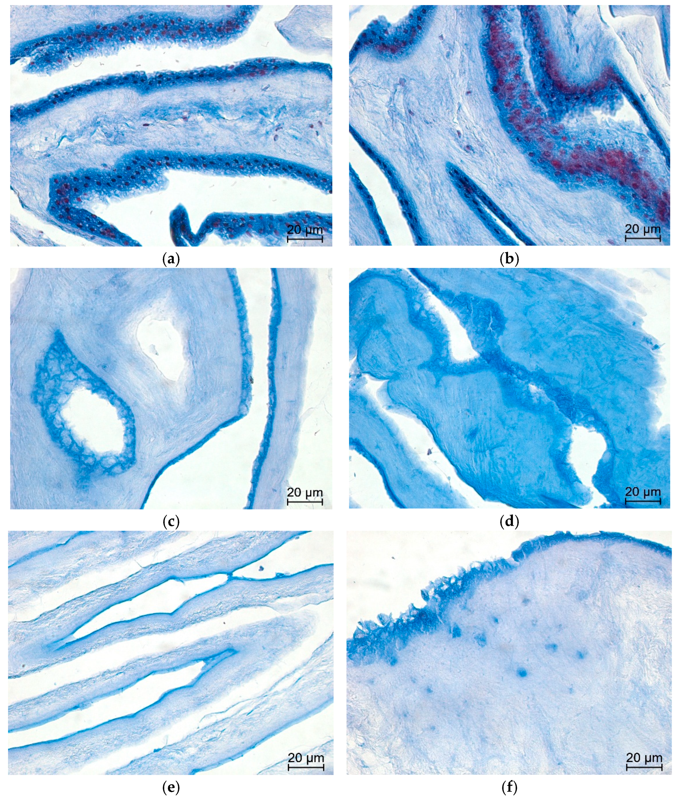 Mps 09 00005 g006 Mps 09 00005 g006