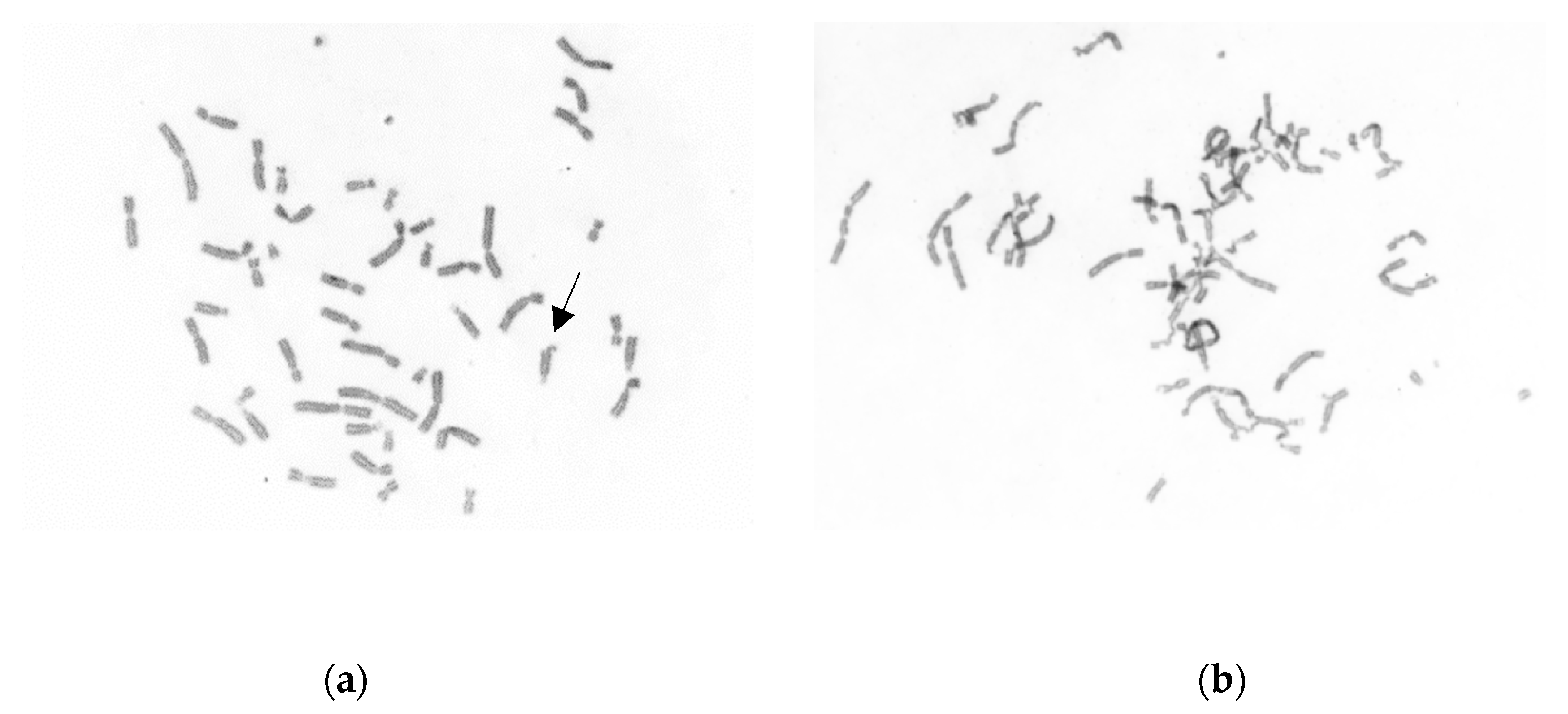 Msf 02 00013 g002 550