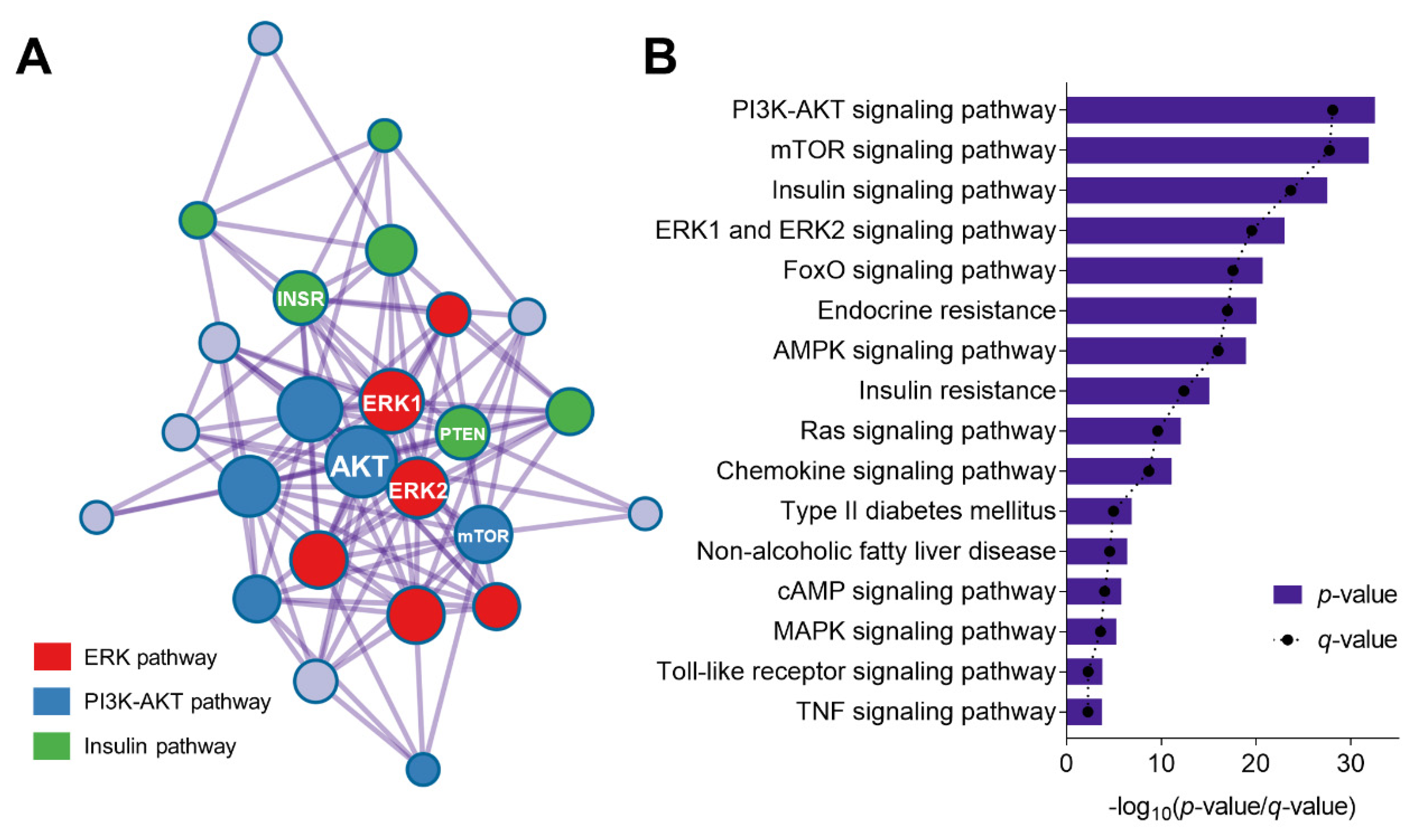 Msf 02 00025 g002 550