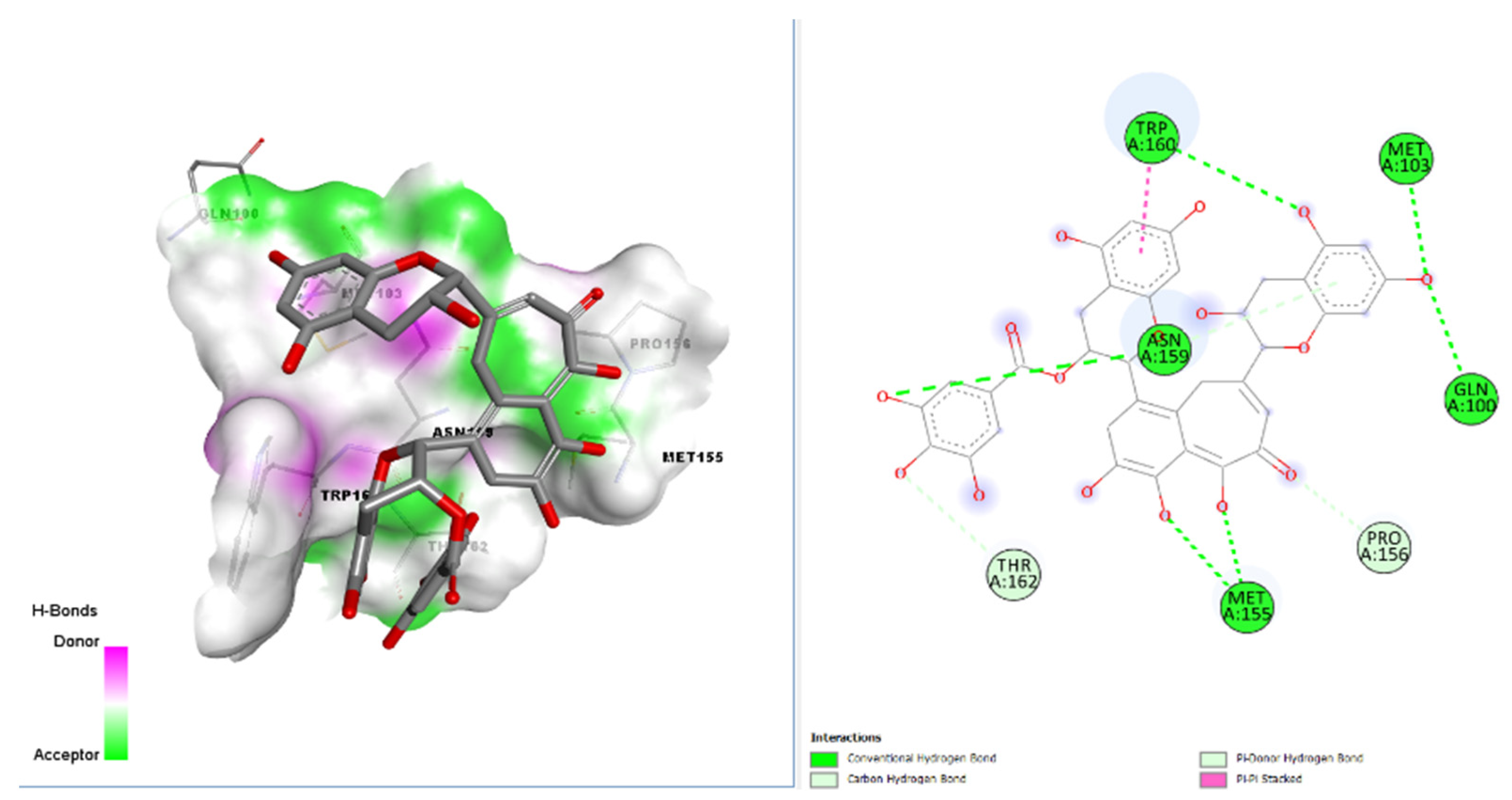Msf 07 00005 g002 550