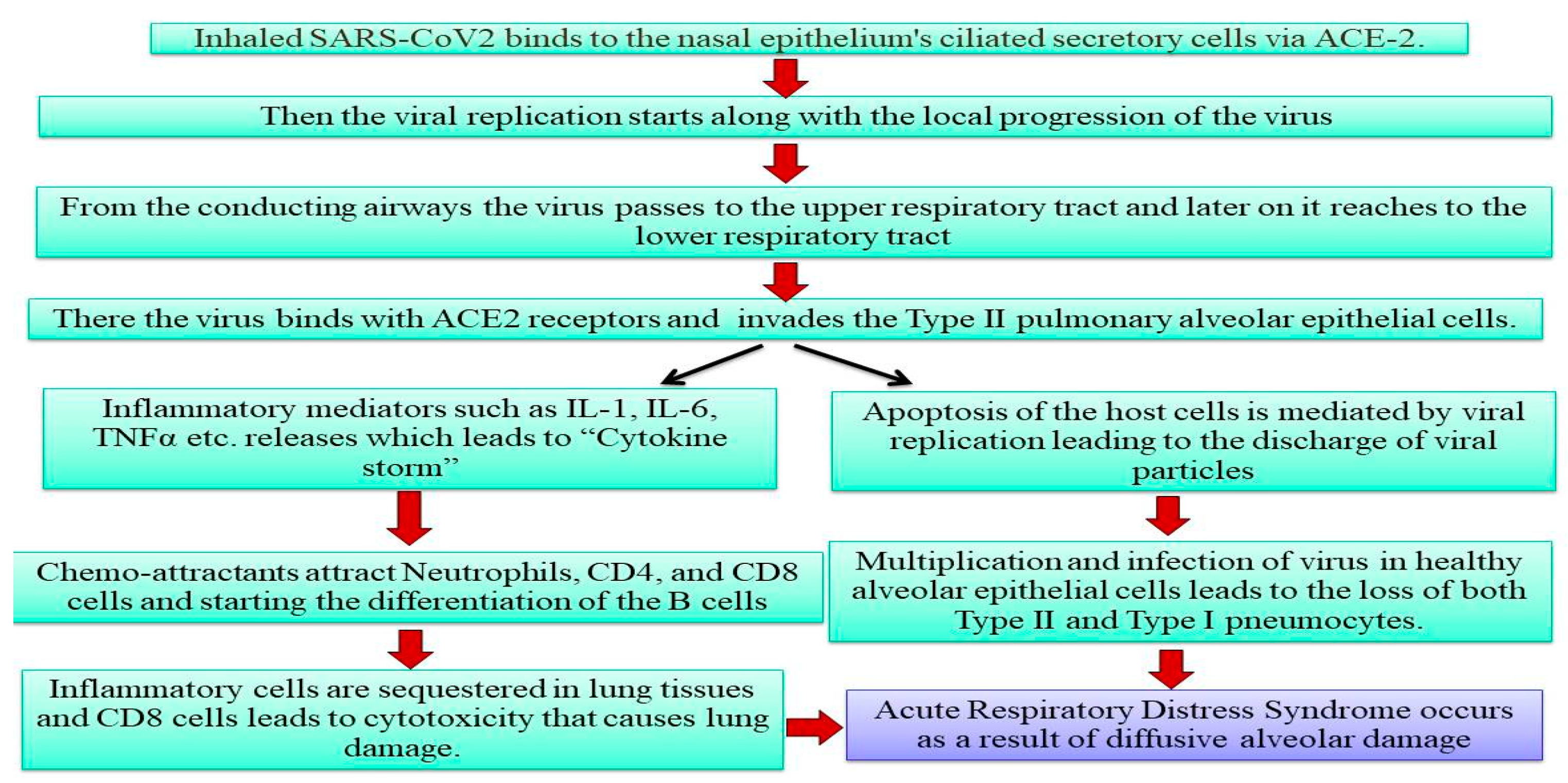 Msf 10 00010 g001 Msf 10 00010 g001