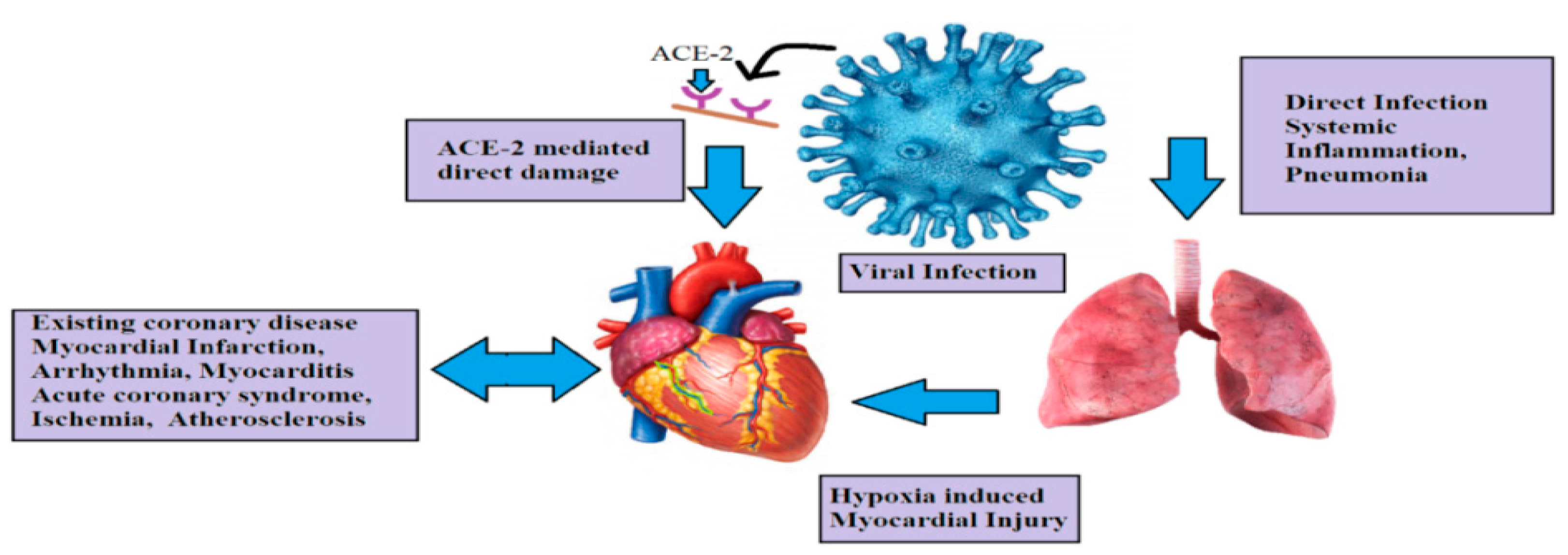 Msf 10 00010 g002 Msf 10 00010 g002