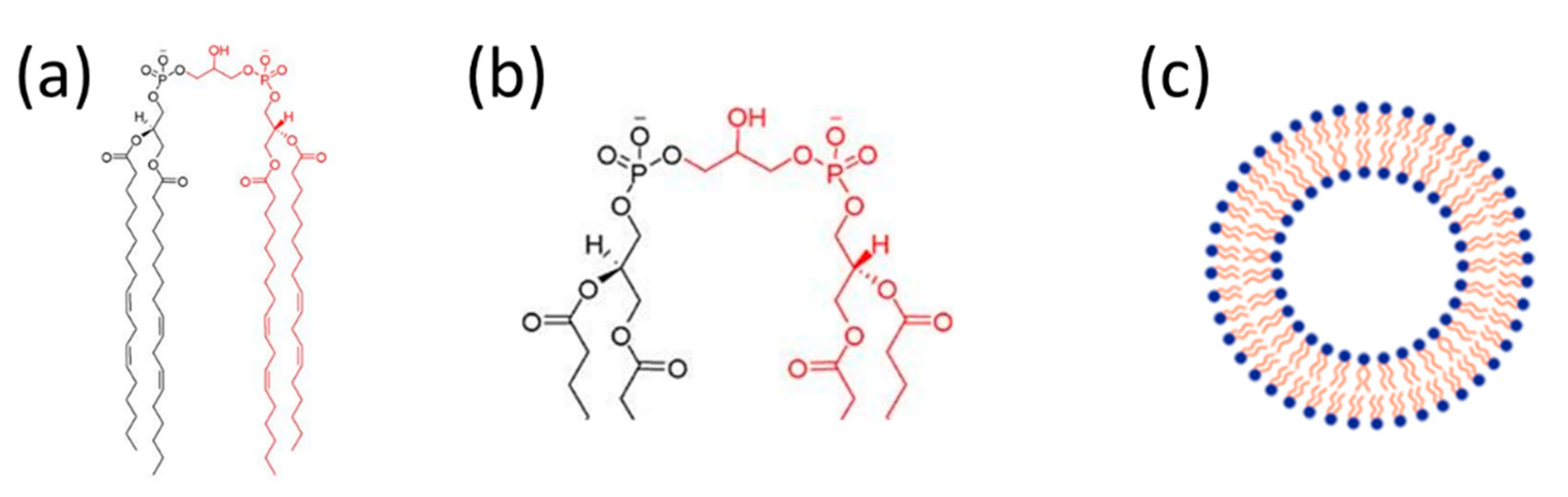 Msf 11 00006 g001 550