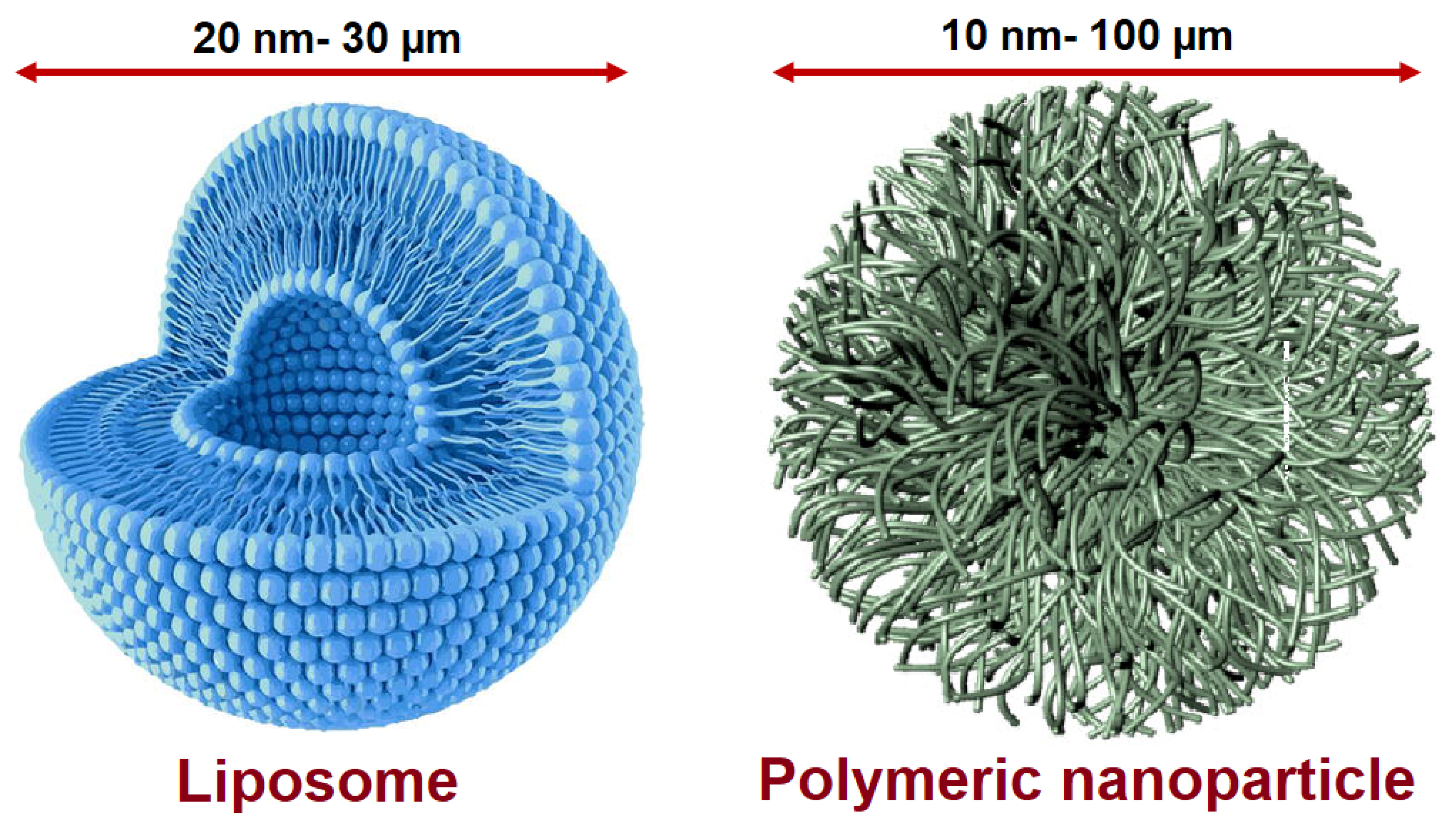 Msf 12 00012 g001 550