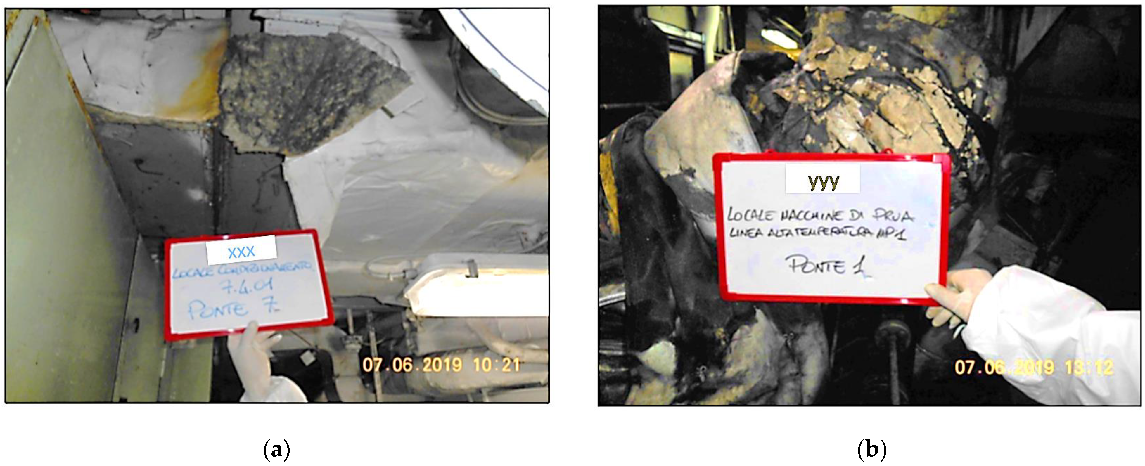 Msf 13 00003 g001 550