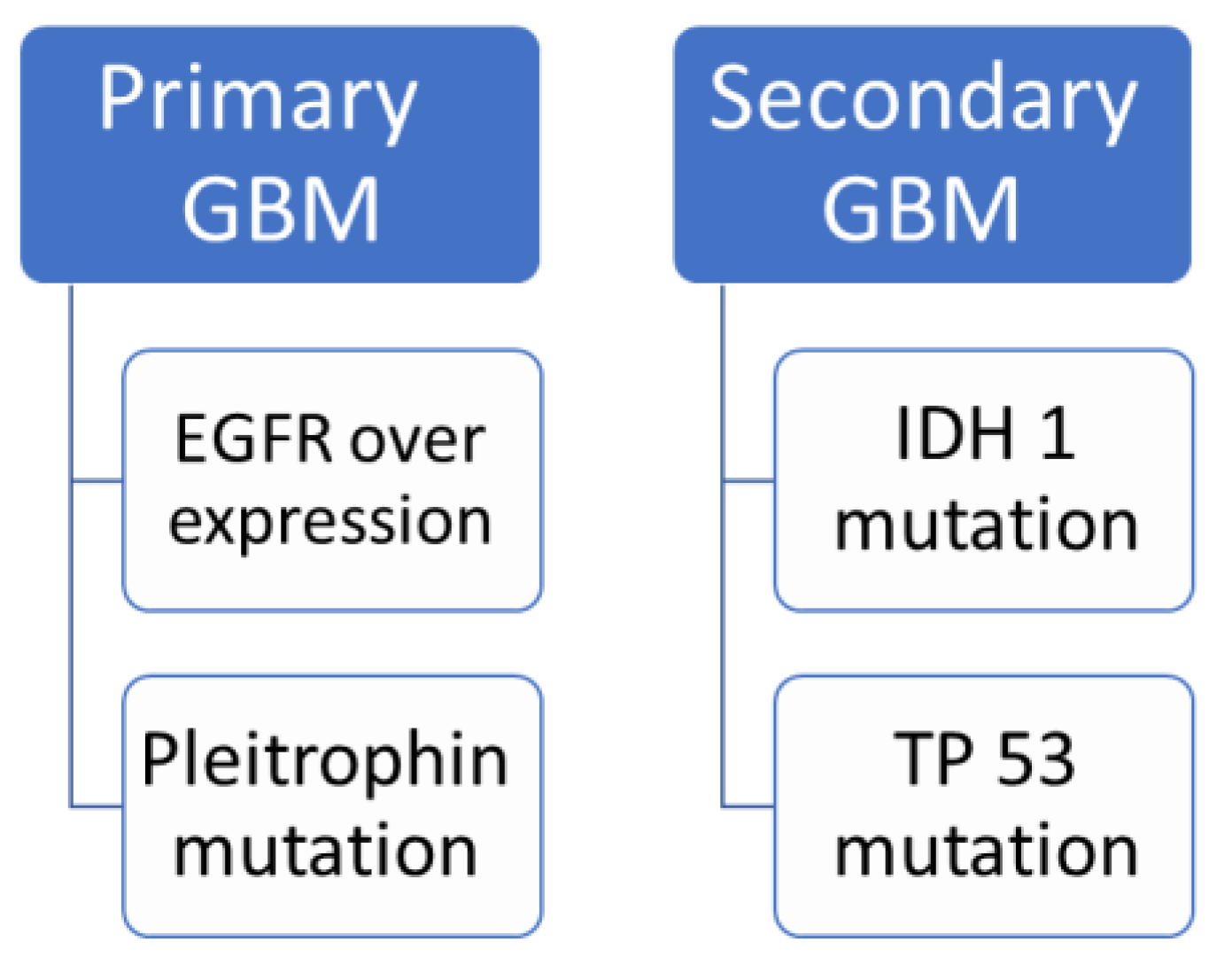 Msf 20 00009 g003 Msf 20 00009 g003