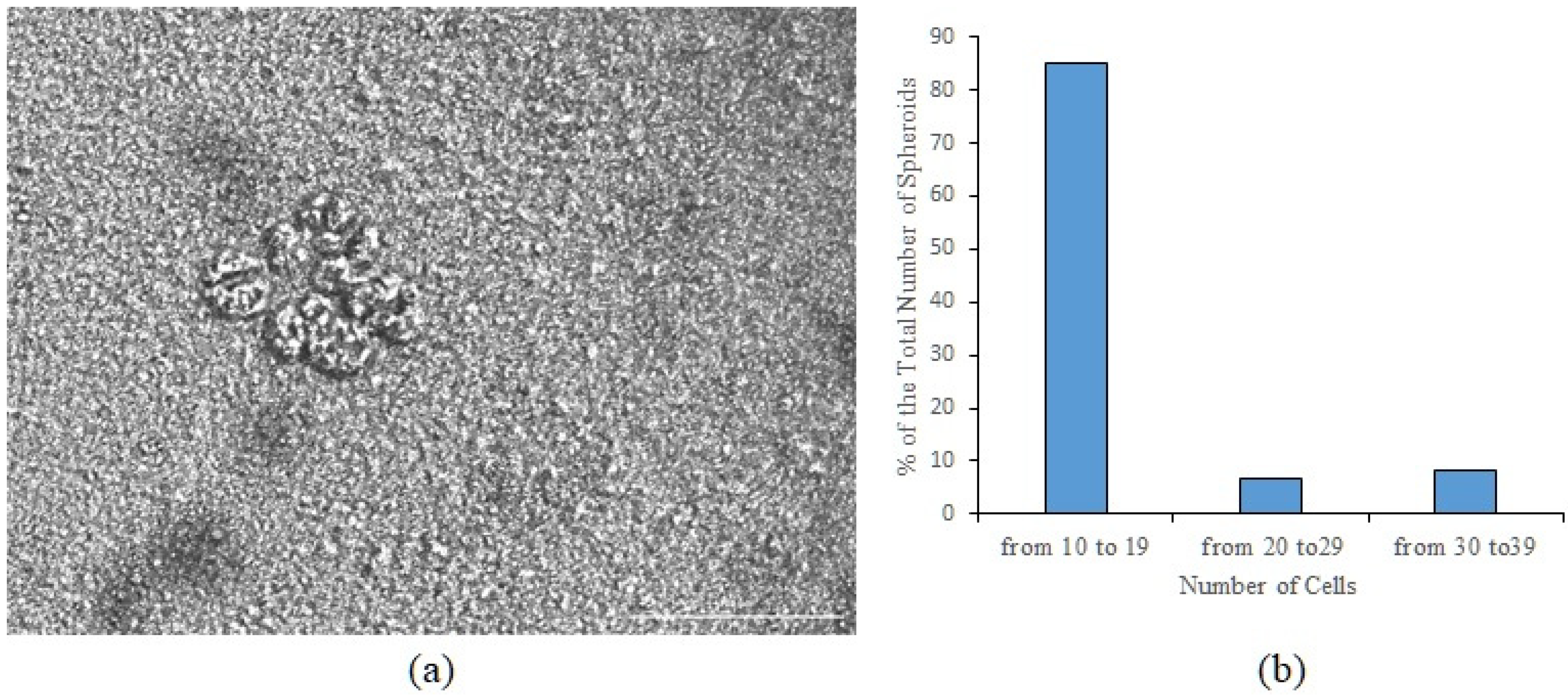 Msf 21 00004 g001 550