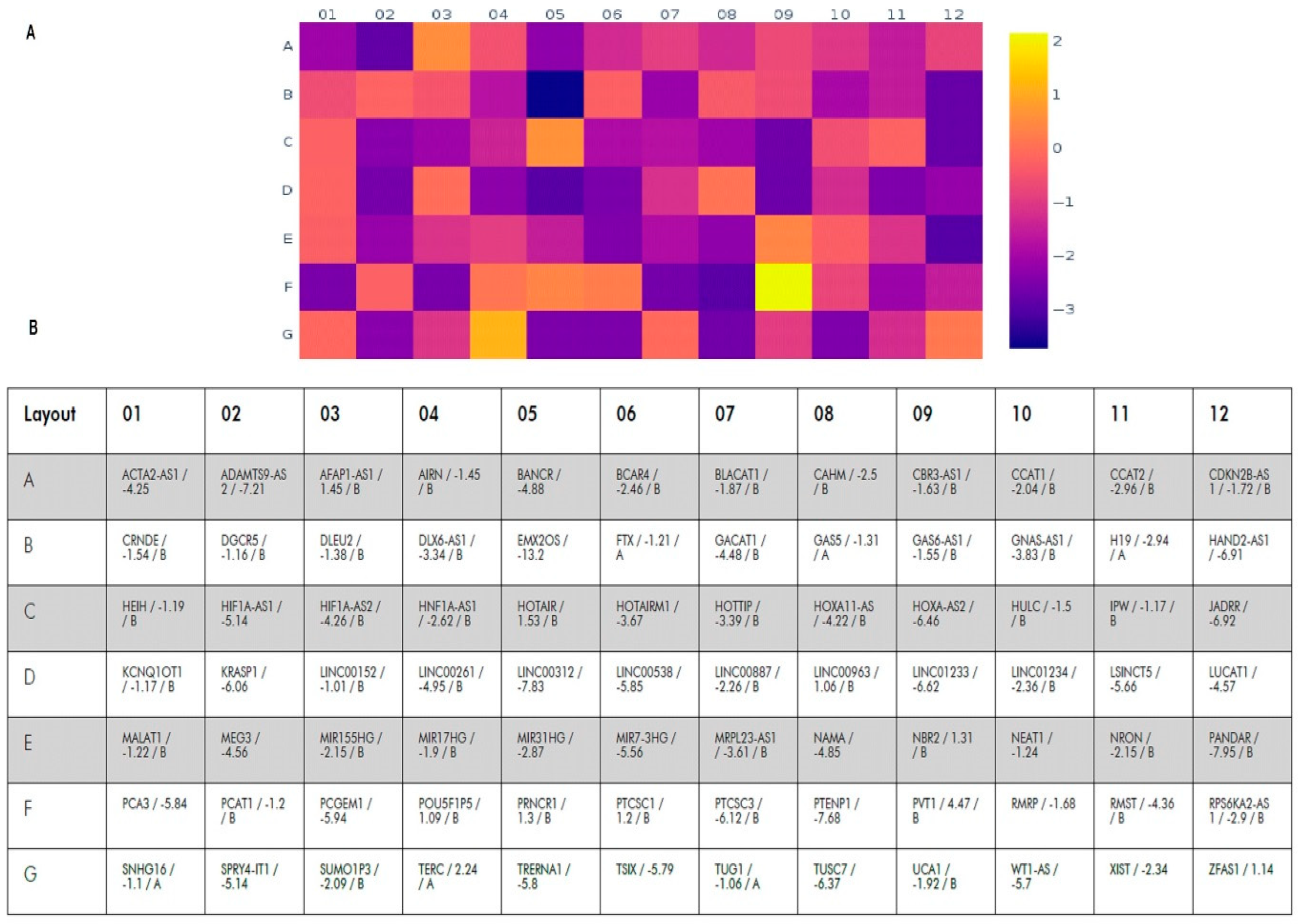 Msf 21 00007 g001 550