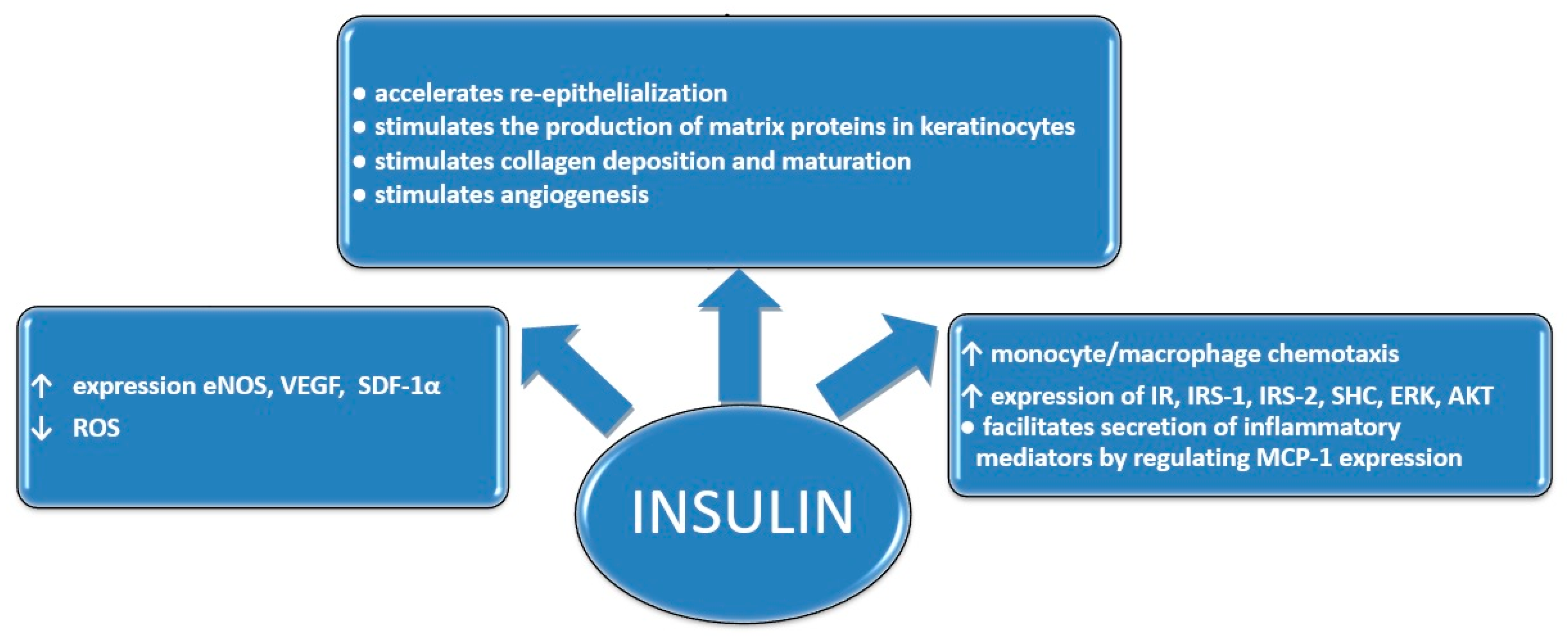 Msf 21 00017 g001 Msf 21 00017 g001