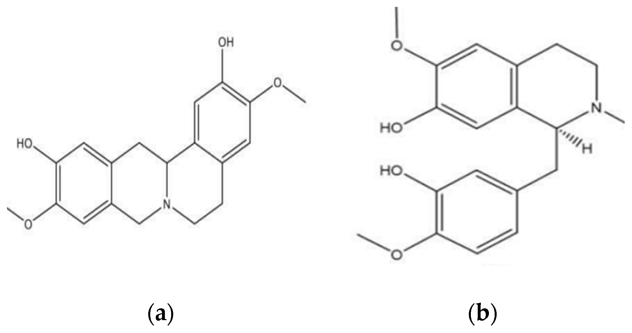 Msf 21 00026 g004 550