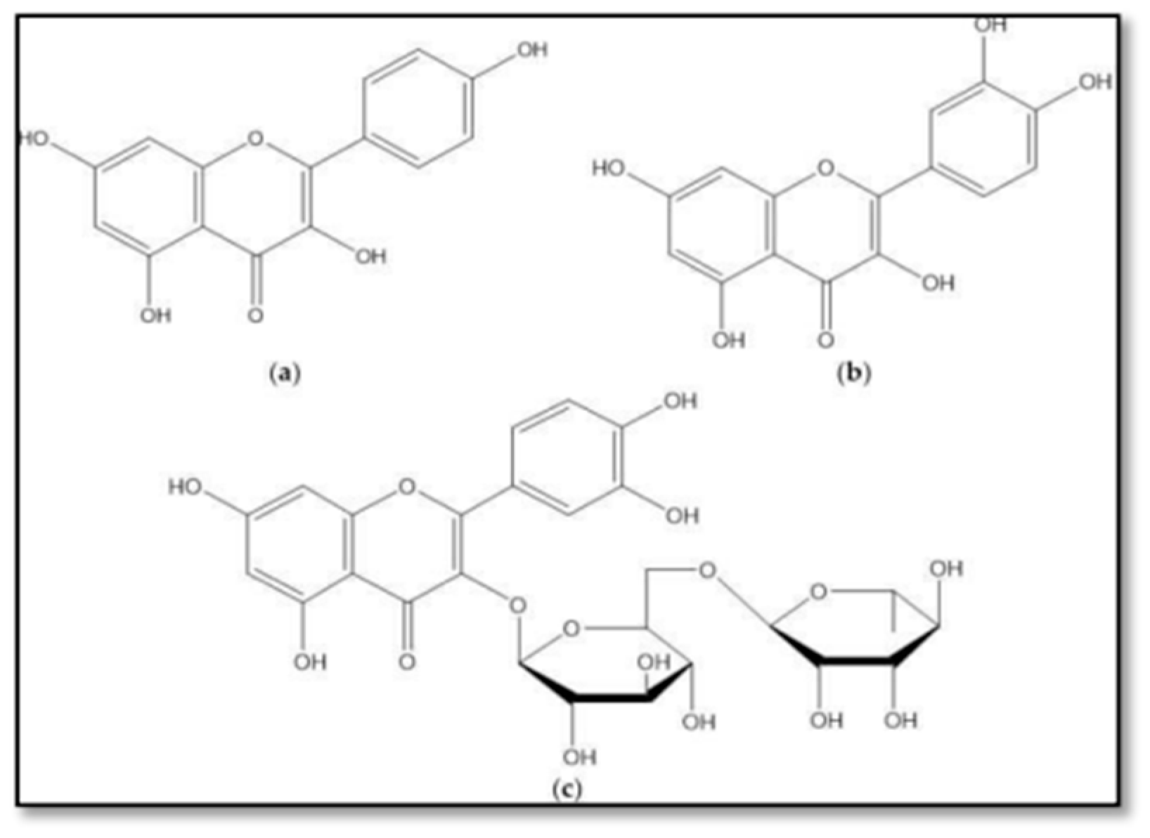 Msf 21 00026 g005 550