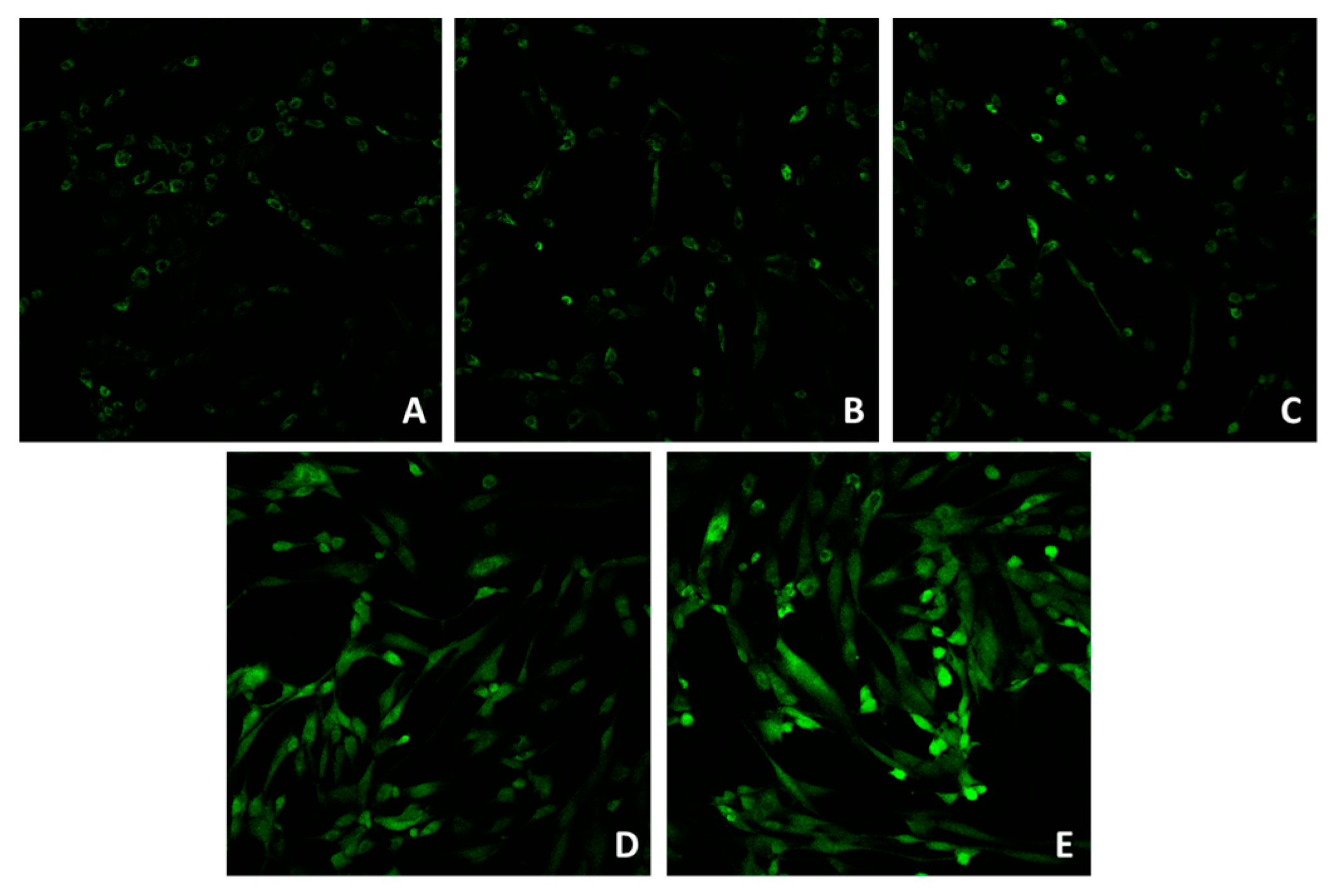 Msf 21 00027 g001 550