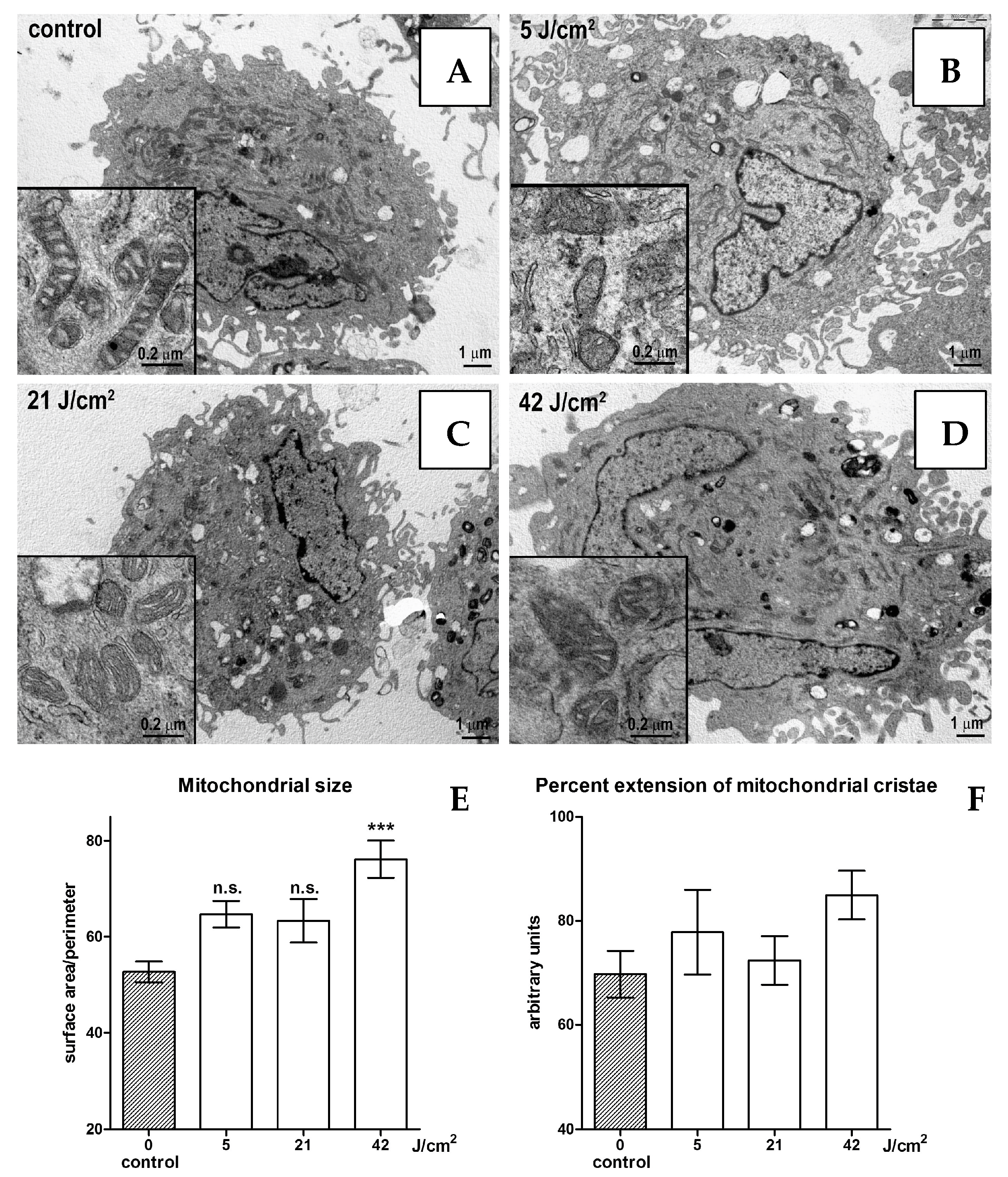 Msf 21 00027 g002 550