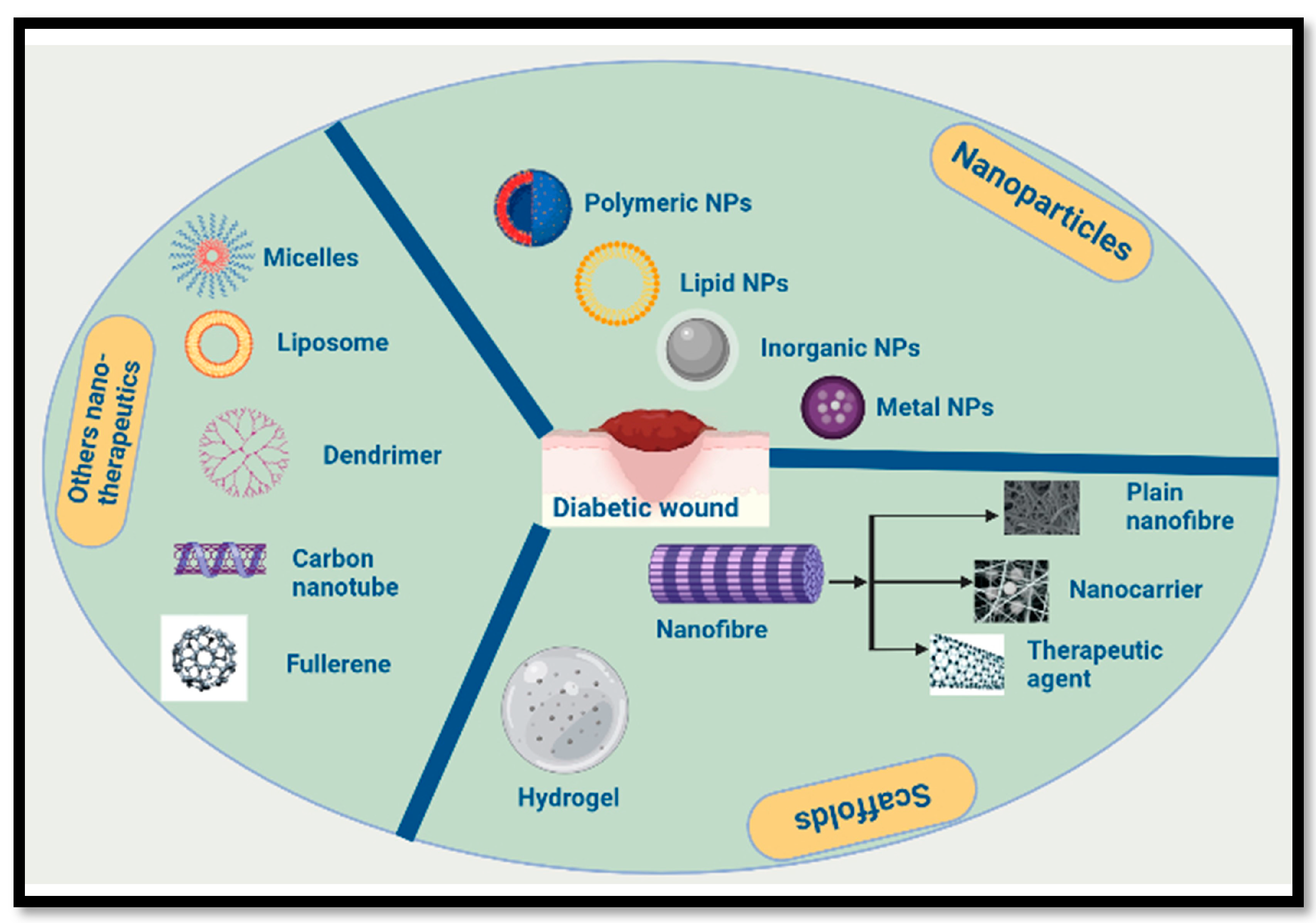 Msf 21 00033 g001 550