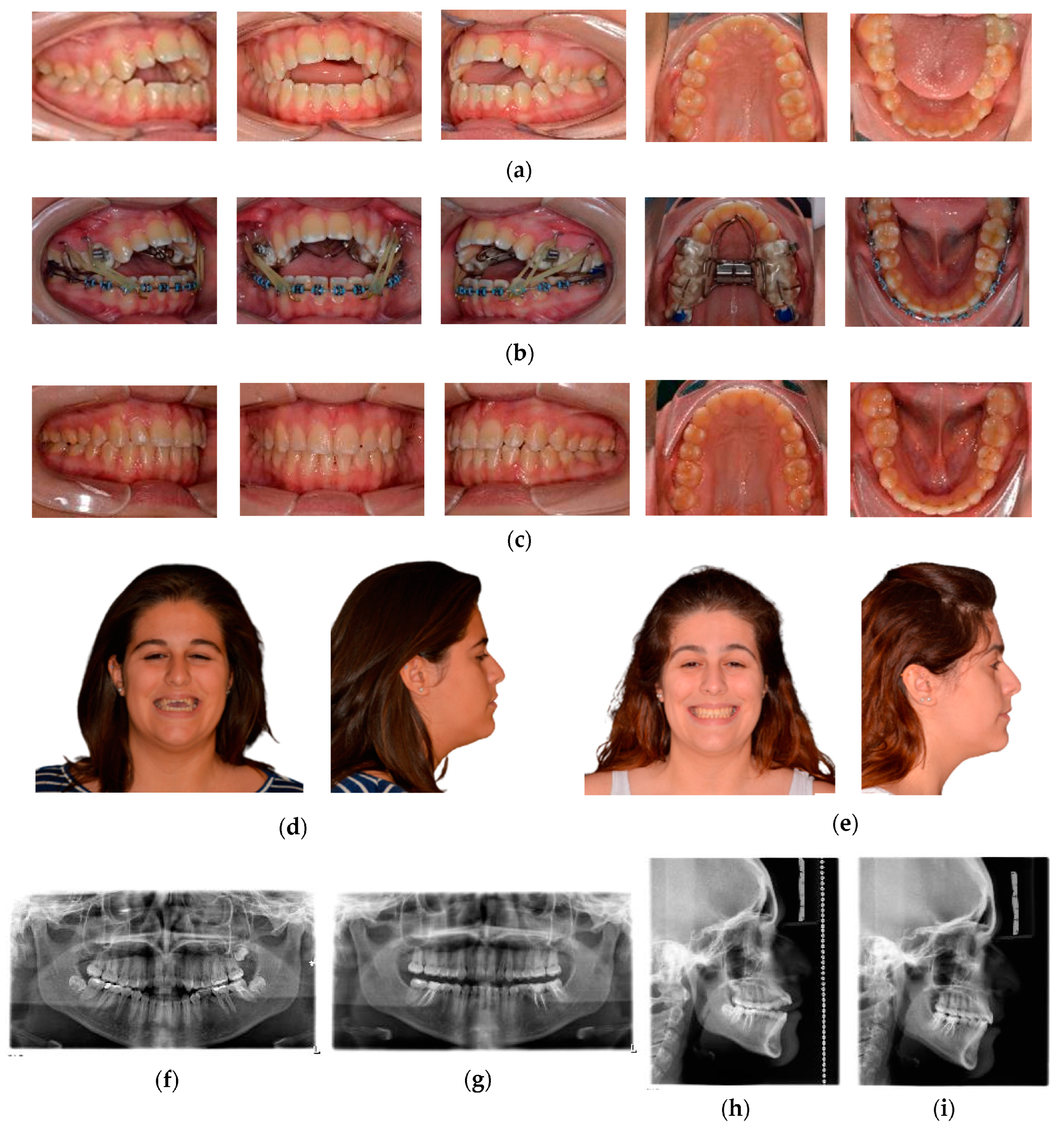 Msf 22 00002 g001 Msf 22 00002 g001