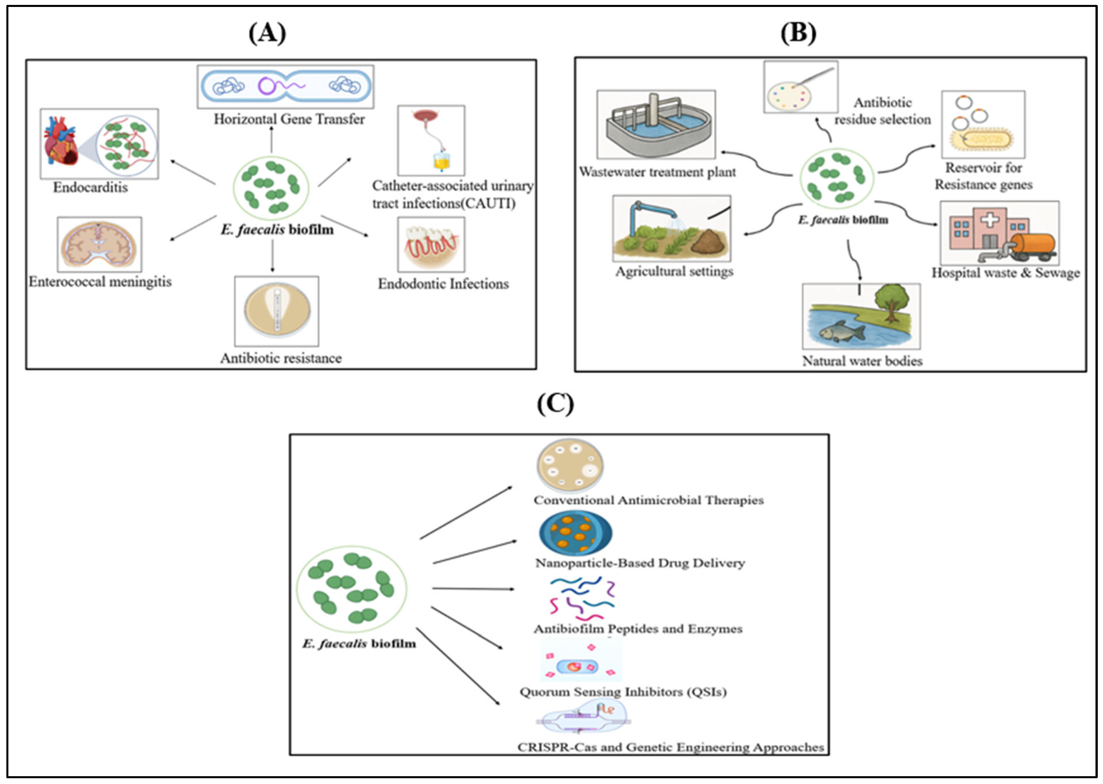 Msf 35 00005 g003 Msf 35 00005 g003