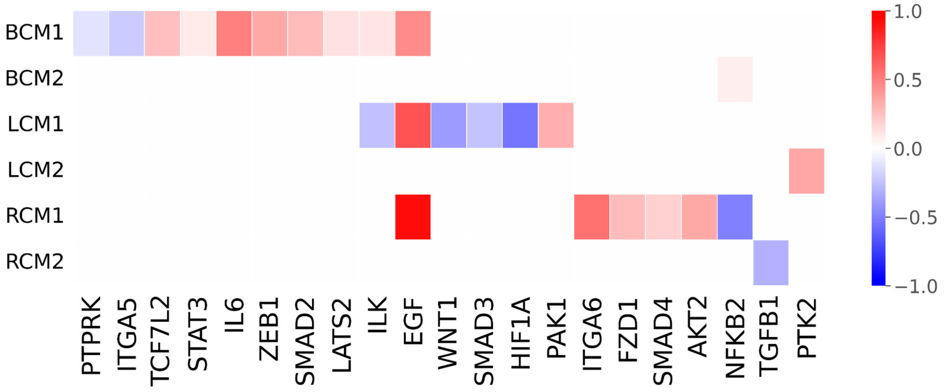 Msf 37 00018 g001 Msf 37 00018 g001