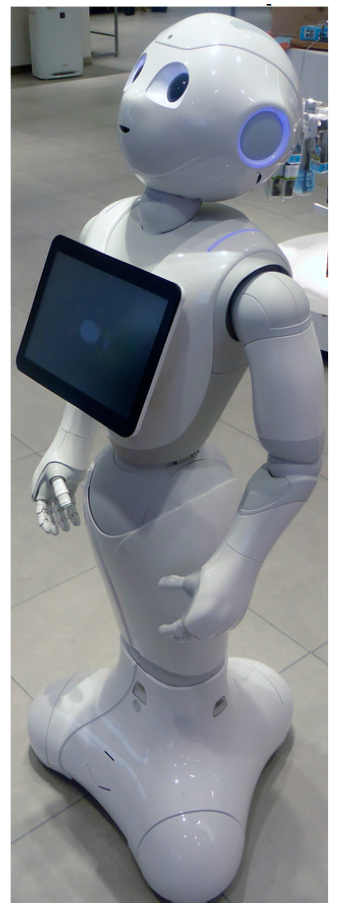 Mti 01 00012 g004 550