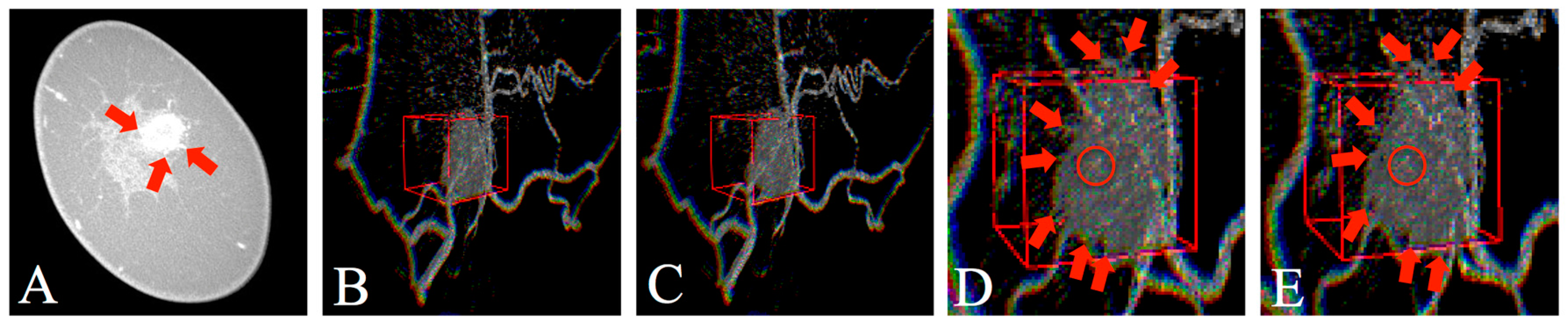 Mti 01 00029 g007 550