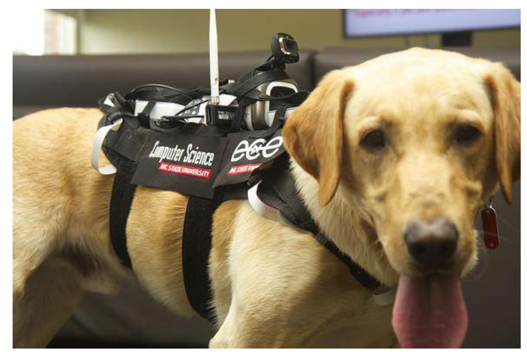 Typing Test Software Download For Windows 10