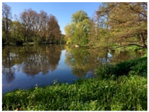 Mti 04 00043 i009 Mti 04 00043 i009