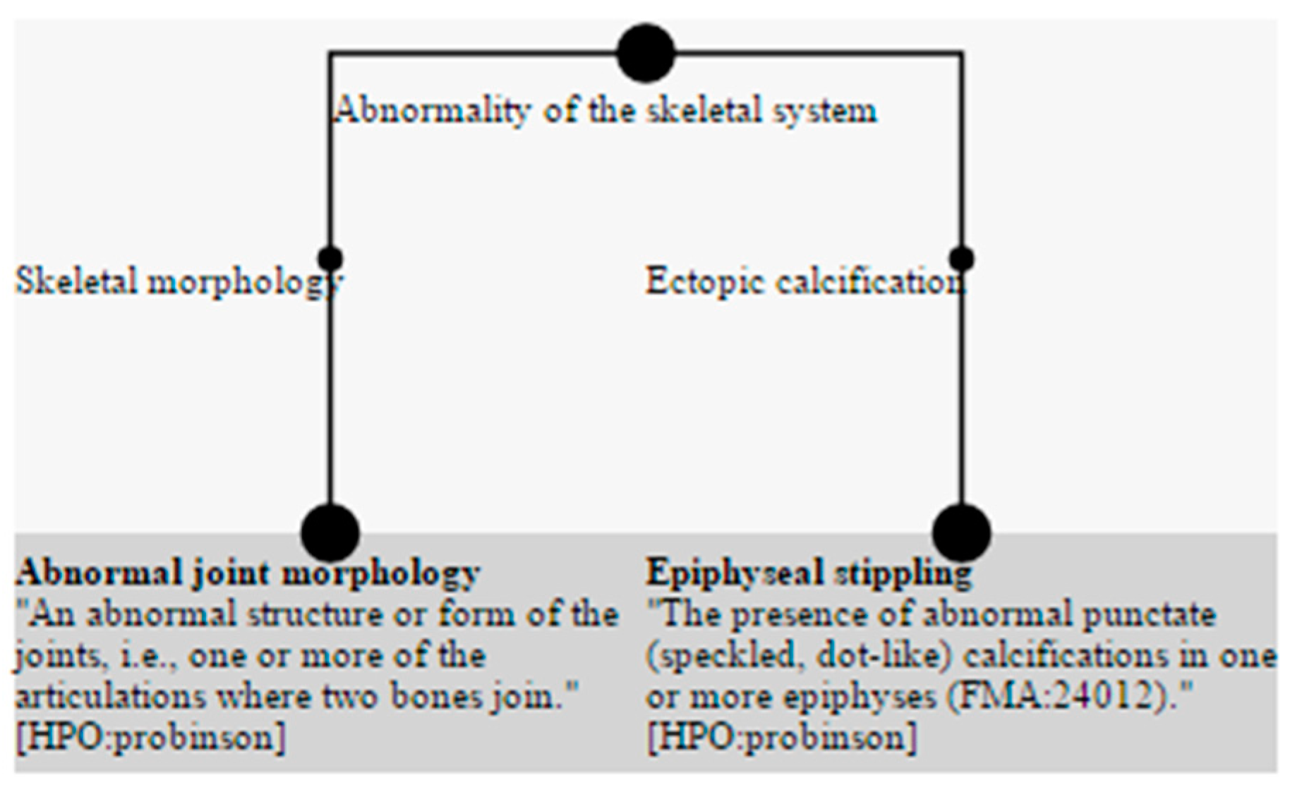 Mti 05 00002 g029 Mti 05 00002 g029