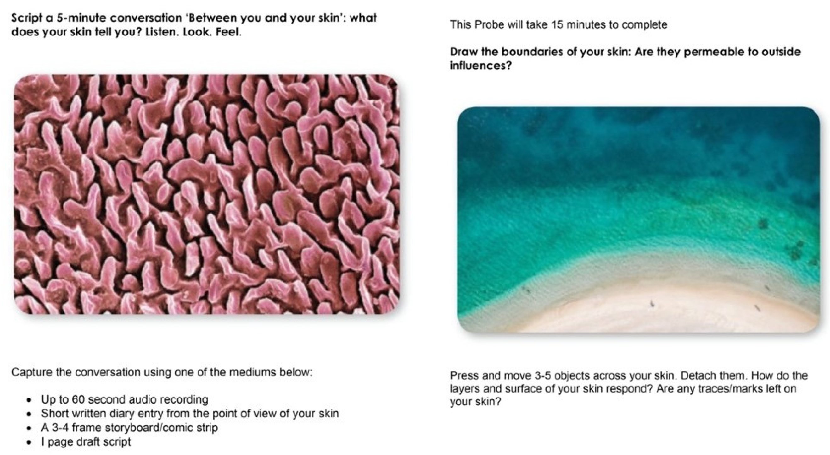 Mti 06 00022 g002b 550