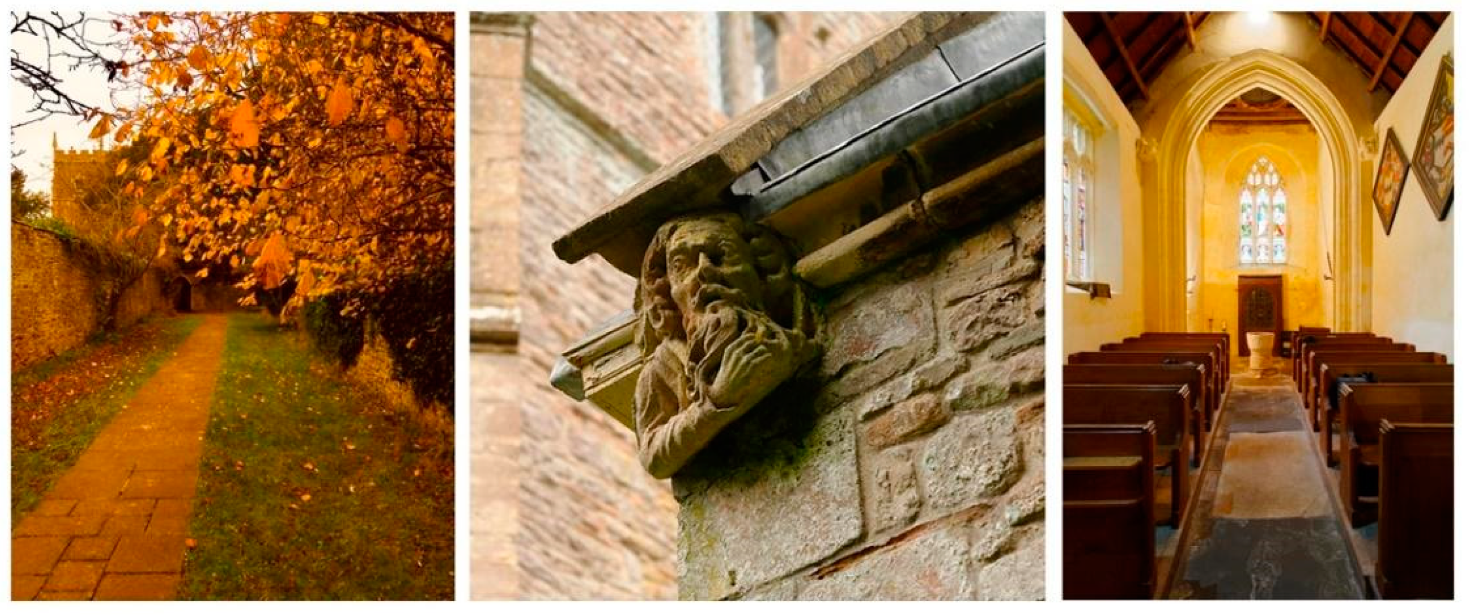 Mti 06 00040 g001 550