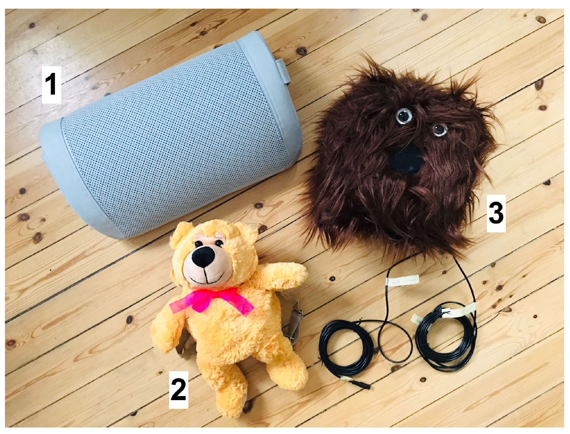 Mti 06 00055 g003 550