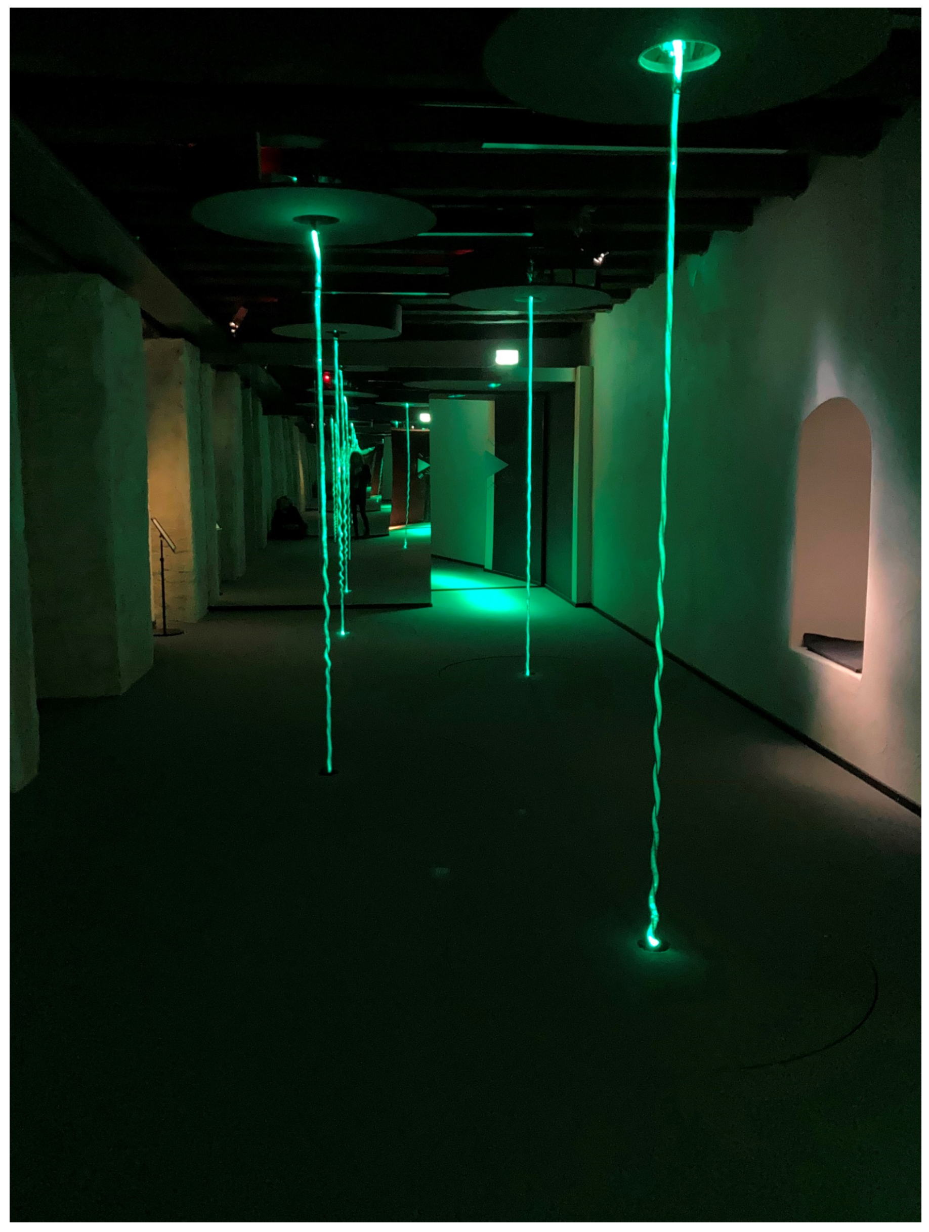 Mti 06 00055 g009 550