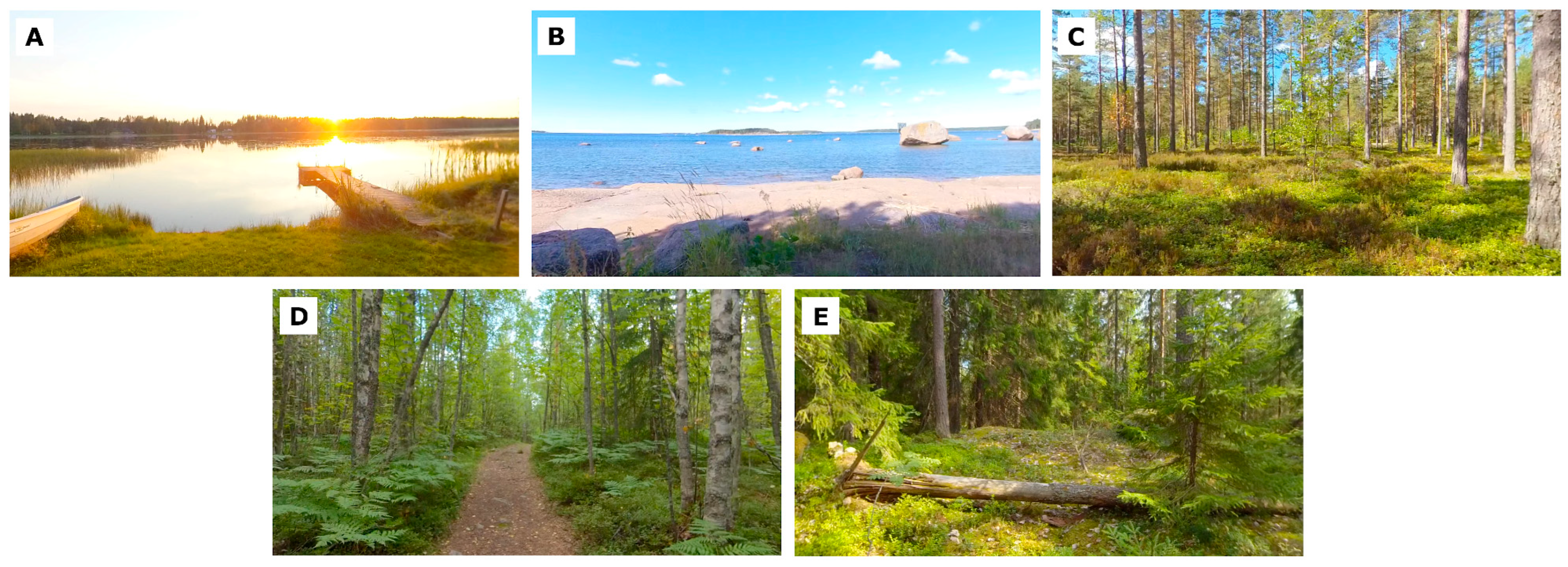 Mti 09 00115 g001 Mti 09 00115 g001