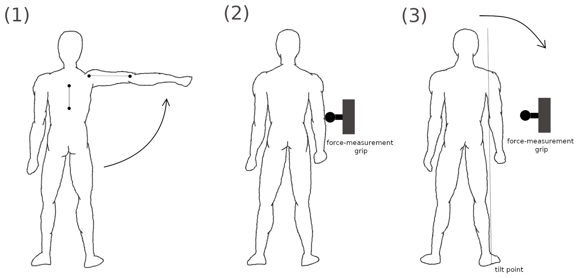 Muscles 01 00005 g001